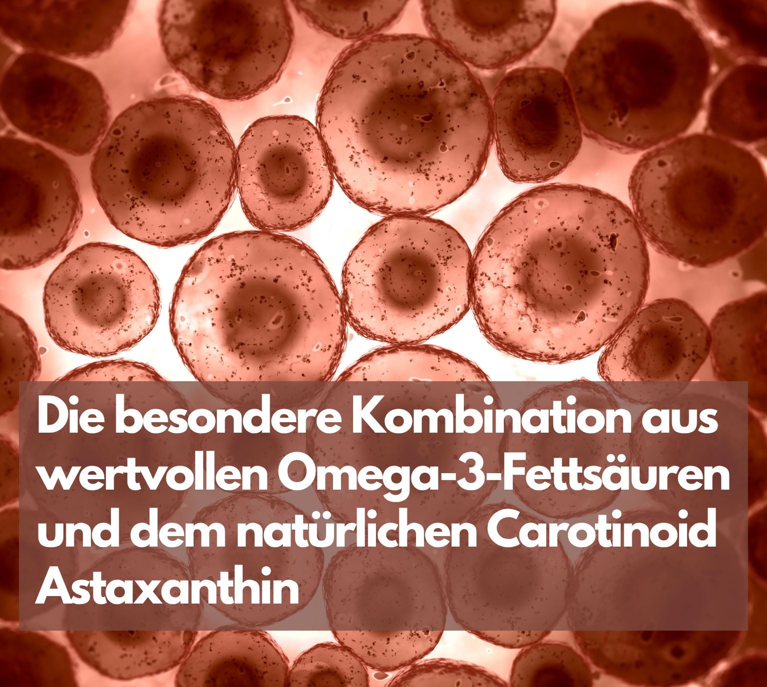 Zellstruktur mit Omega-3-Fettsäuren und Astaxanthin.