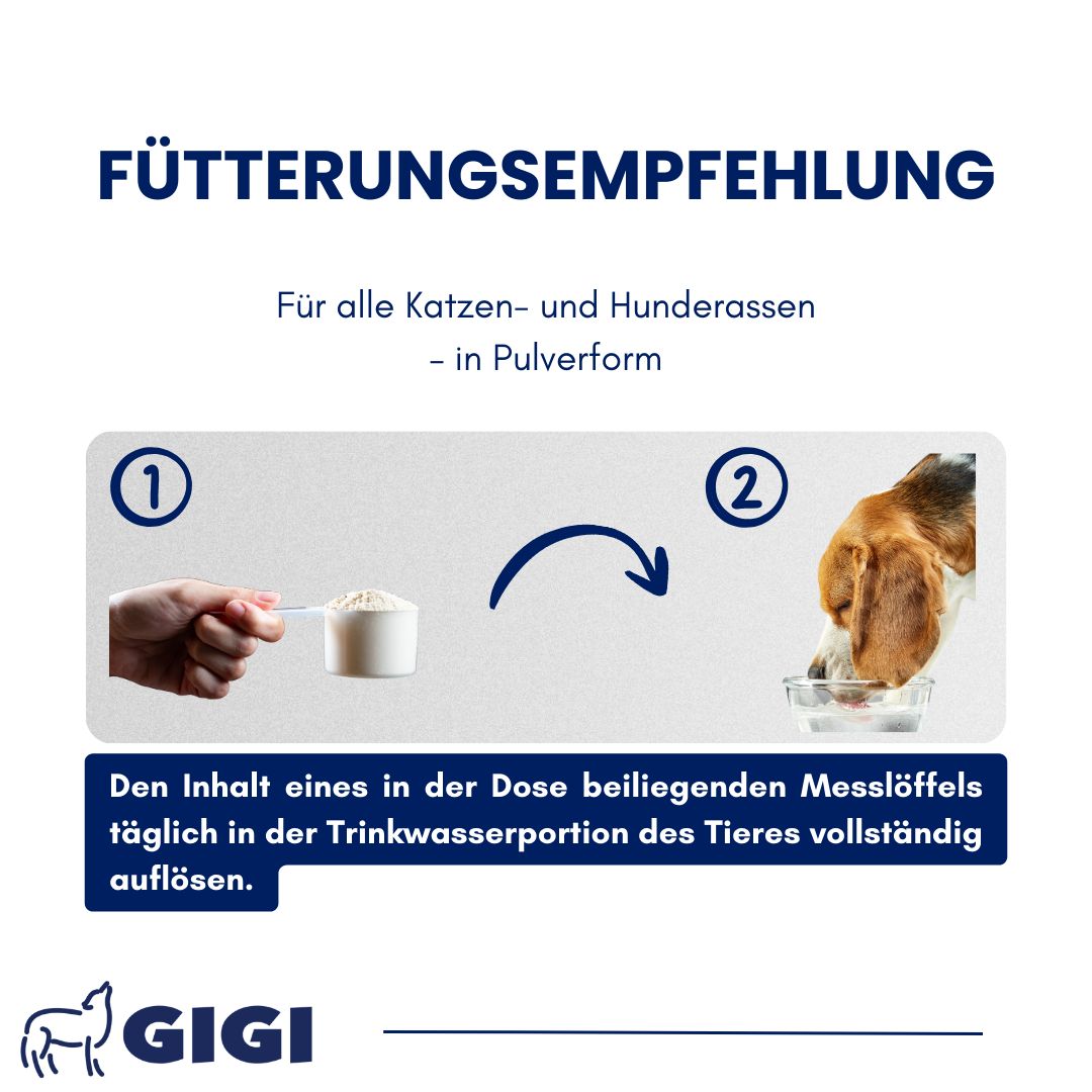 Fütterungsempfehlung. Illustrationen: Messlöffel mit Pulver, Hund trinkt. Text: Für alle Katzen- und Hunderassen, in Pulverform. GIGI Logo.