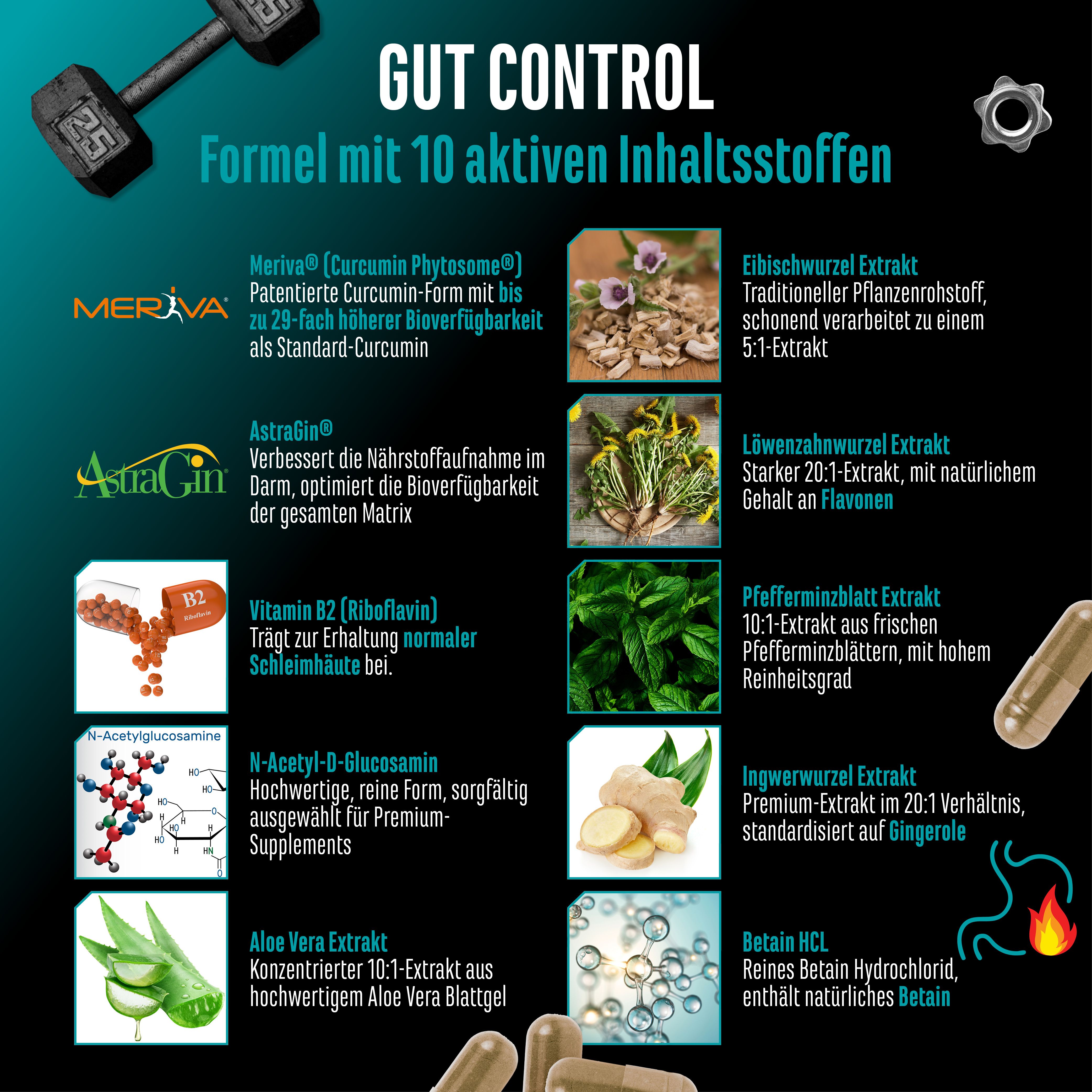 GEN Gut Control