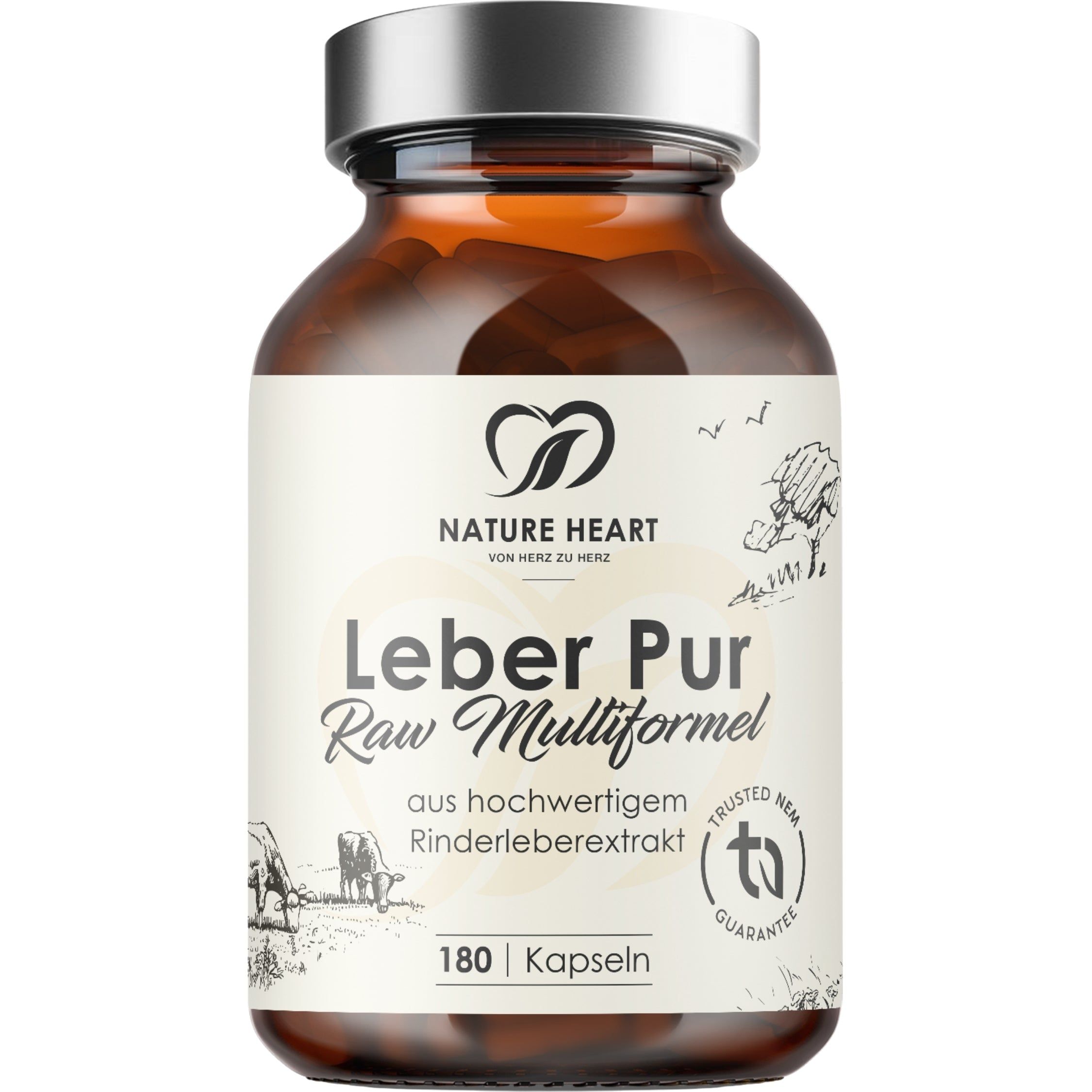 Braune Glasflasche mit silbernem Deckel, gefüllt mit 180 Kapseln Leber Pur Raw Multiformel.
