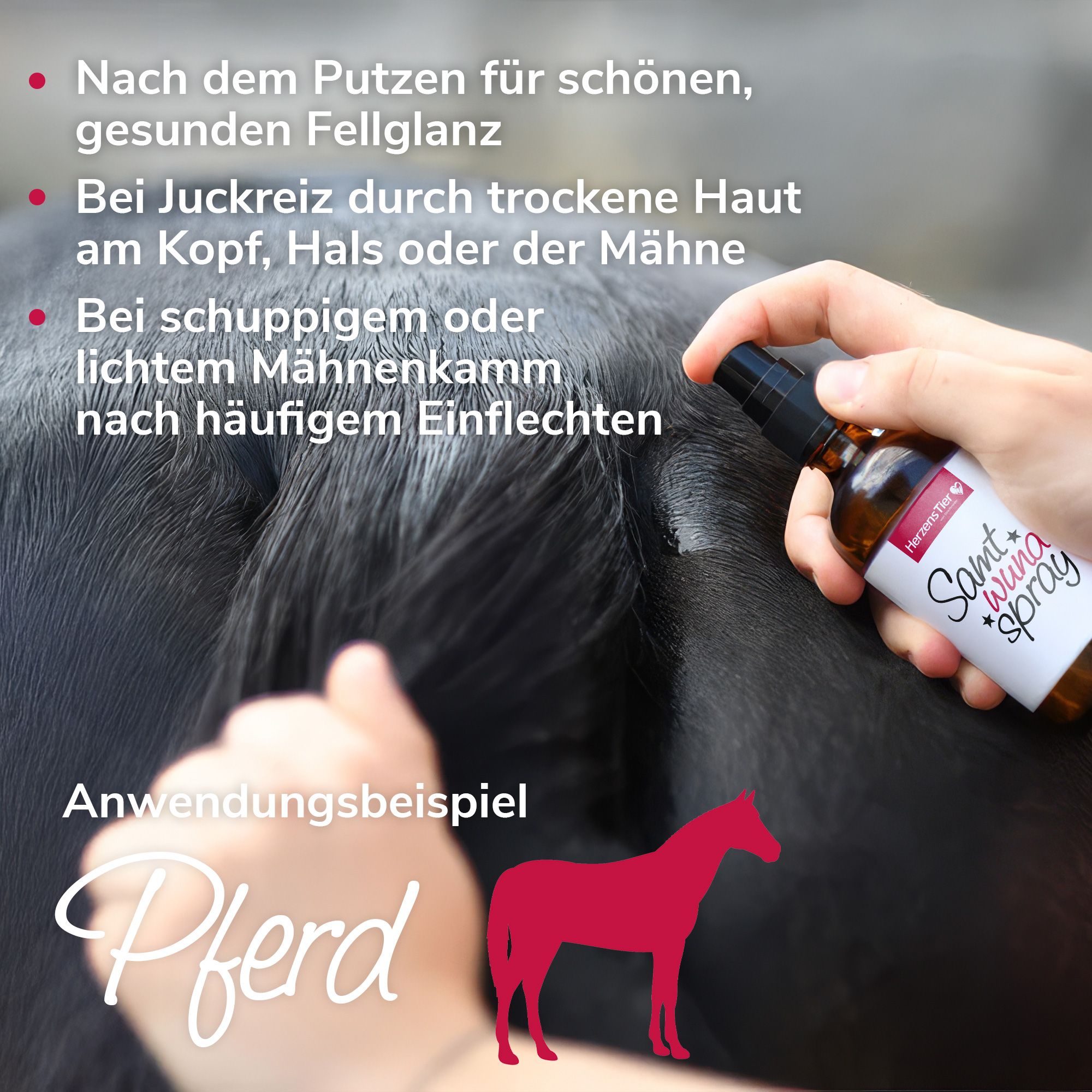 Pferd wird am Mähnenkamm gestreichelt. Flasche mit Produktetikett wird gehalten. Text: Anwendung Pferd.