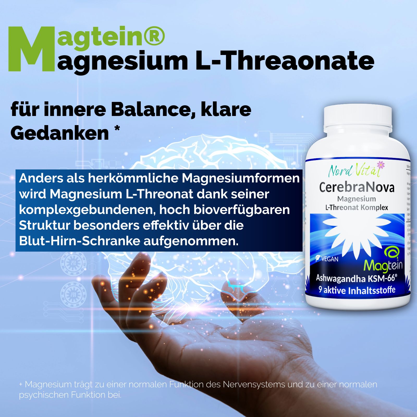 Nord Vital CerebraNova - 2000mg Magtein Magnesium L-Threonat, 600 mg Ashwagandha & Vitamin B Komplex