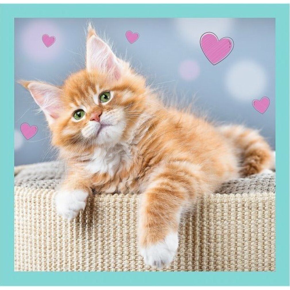 trefl Puzzle süße kätzchen 3in1 (20,36,50 Teile)