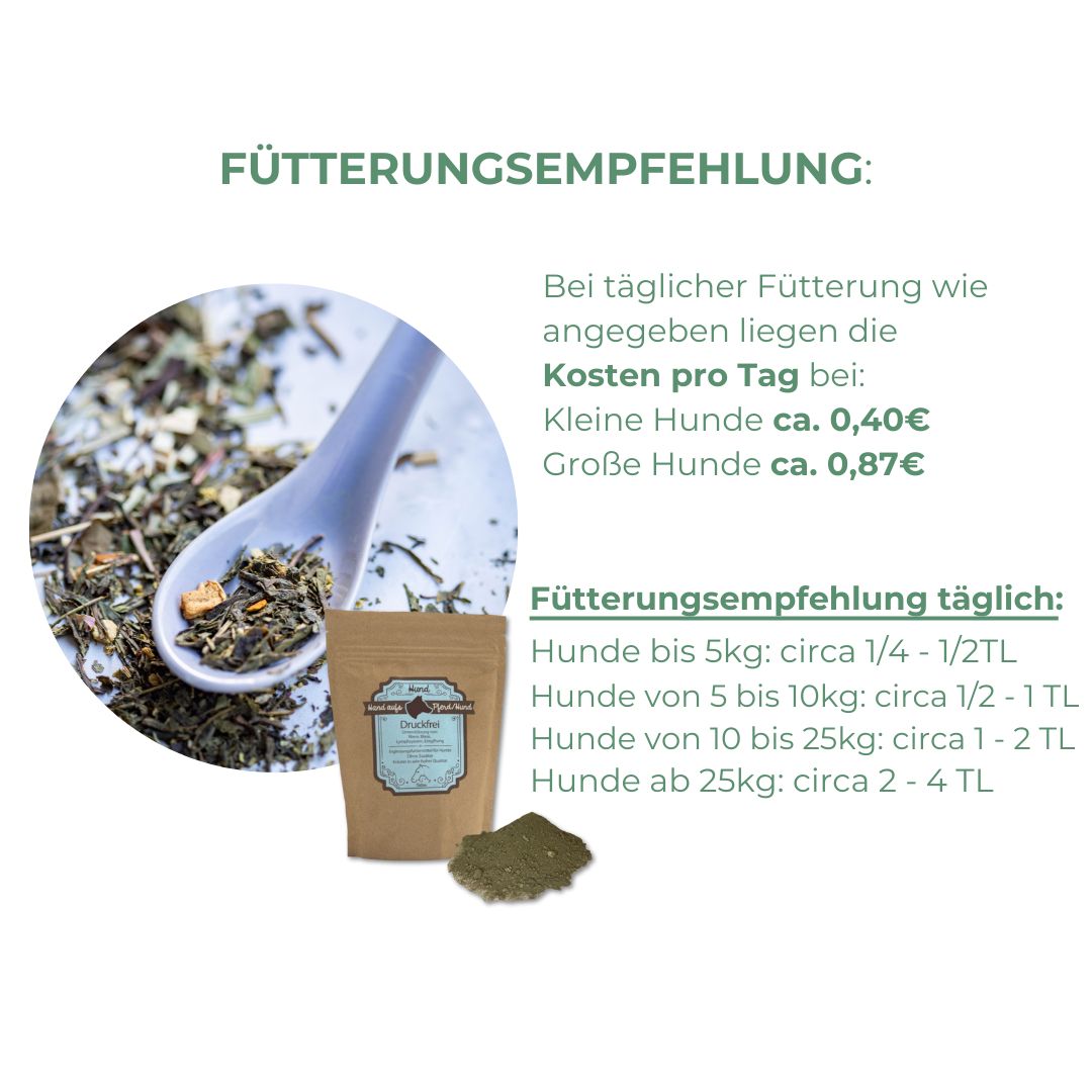 Braune Tüte mit blauem Etikett, Kräuterpulver daneben. Text: FÜTTERUNGSEMPFEHLUNG. Löffel mit Kräutern. Text: Kosten pro Tag, Fütterungsempfehlung täglich.