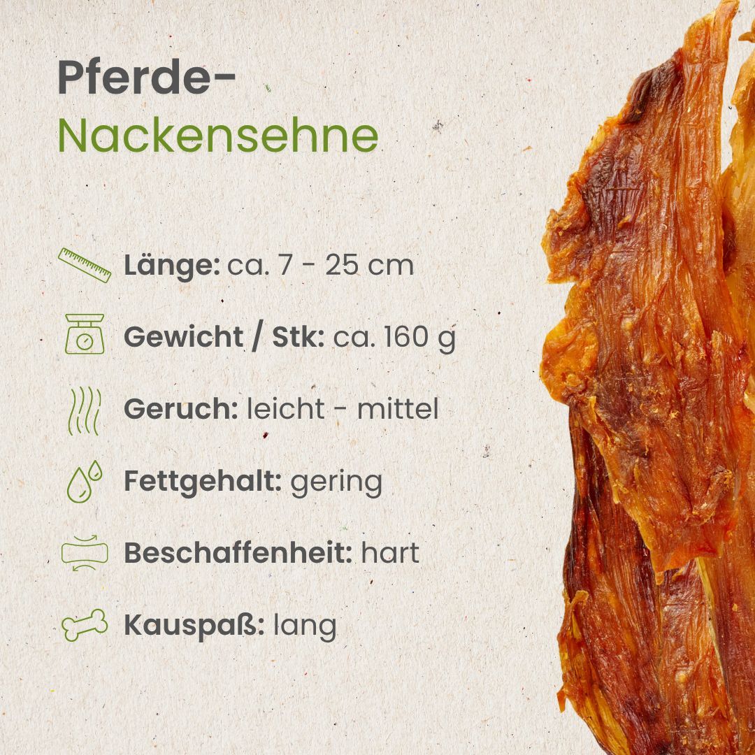 Getrocknete Pferde-Nackensehne mit detaillierter Textur, auf weißem Hintergrund.