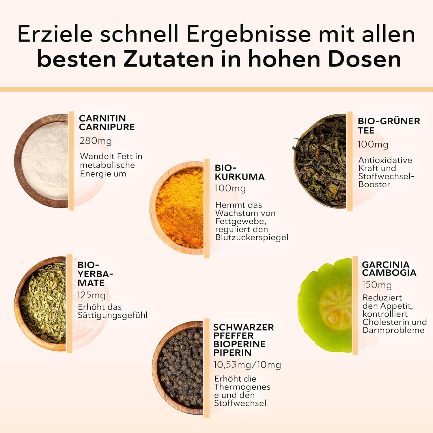 Zutatenübersicht: Carnitin, grüner Tee, Kurkuma, Yerba Mate, Garcinia Cambogia, Pfeffer.