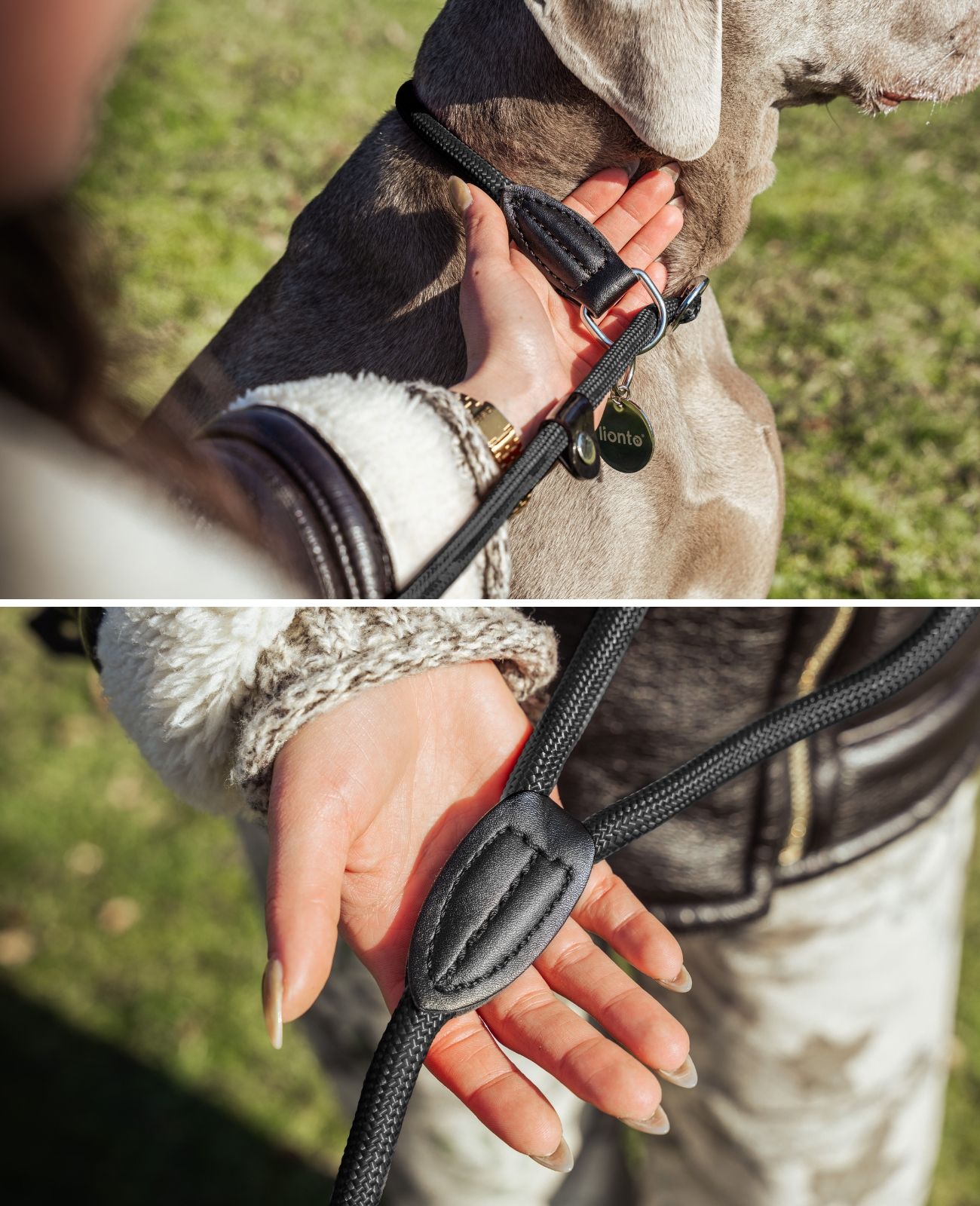 lionto Retrieverleine für Hunde - Hundeleine