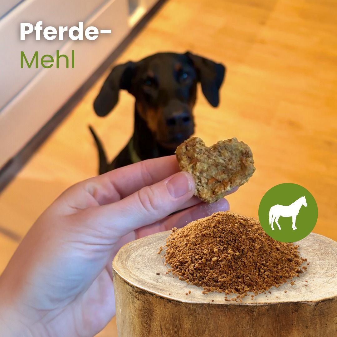 Ein Haufen braunes Pulver auf einem Holzsockel, ein Hund im Hintergrund.
