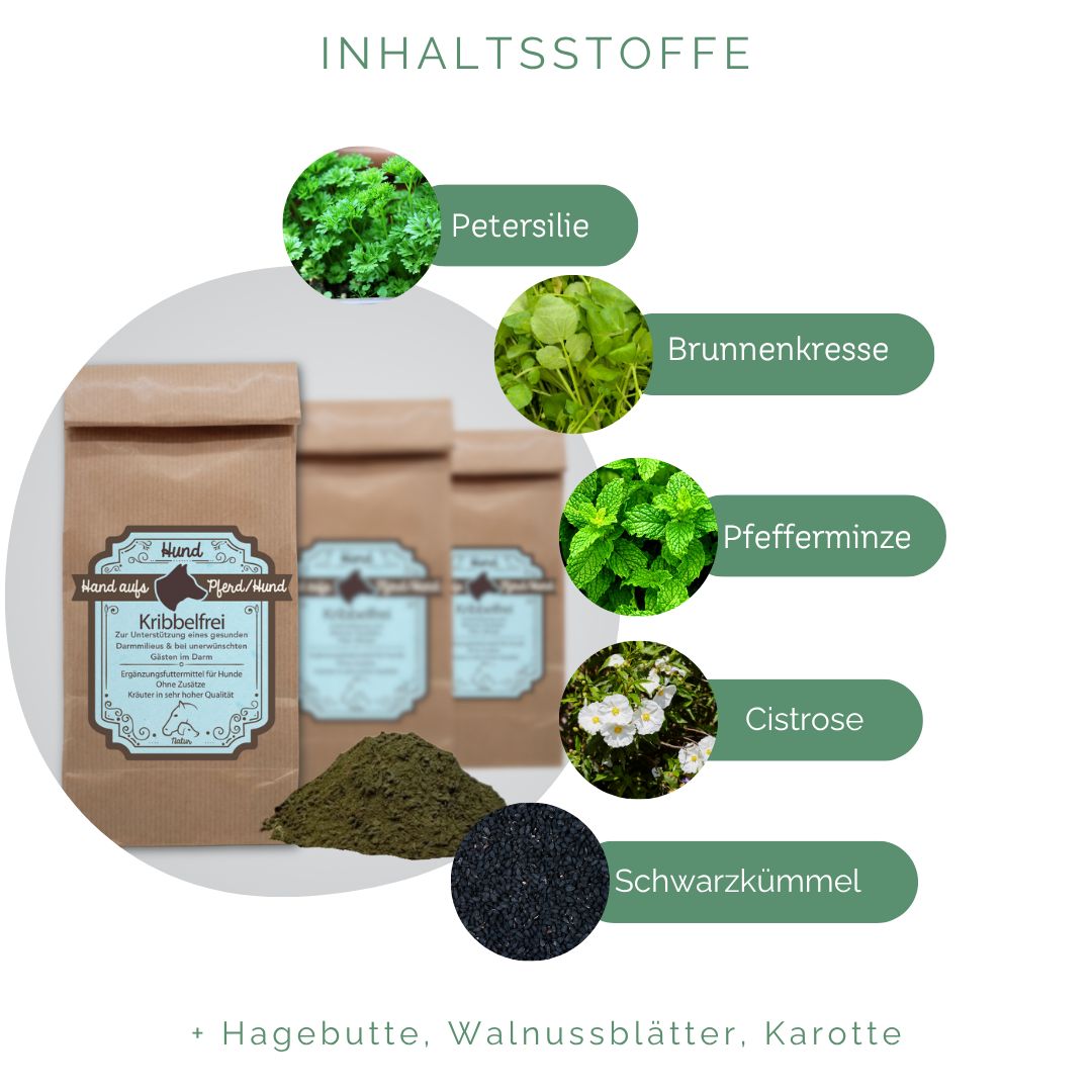 Drei braune Papiertüten, Kräuterhaufen, Kräuterabbildungen mit Namen: Petersilie, Brunnenkresse, Pfefferminze, Zistrose, Schwarzkümmel. Text: Inhaltsstoffe.