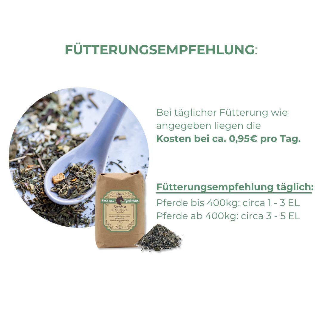 Braune Papiertüte mit Kräutern und Löffel. Text: Hand aufs Pferd/Hund, Stehfest. Fütterungsempfehlung: 0,95€ pro Tag. Kräuterhaufen daneben.