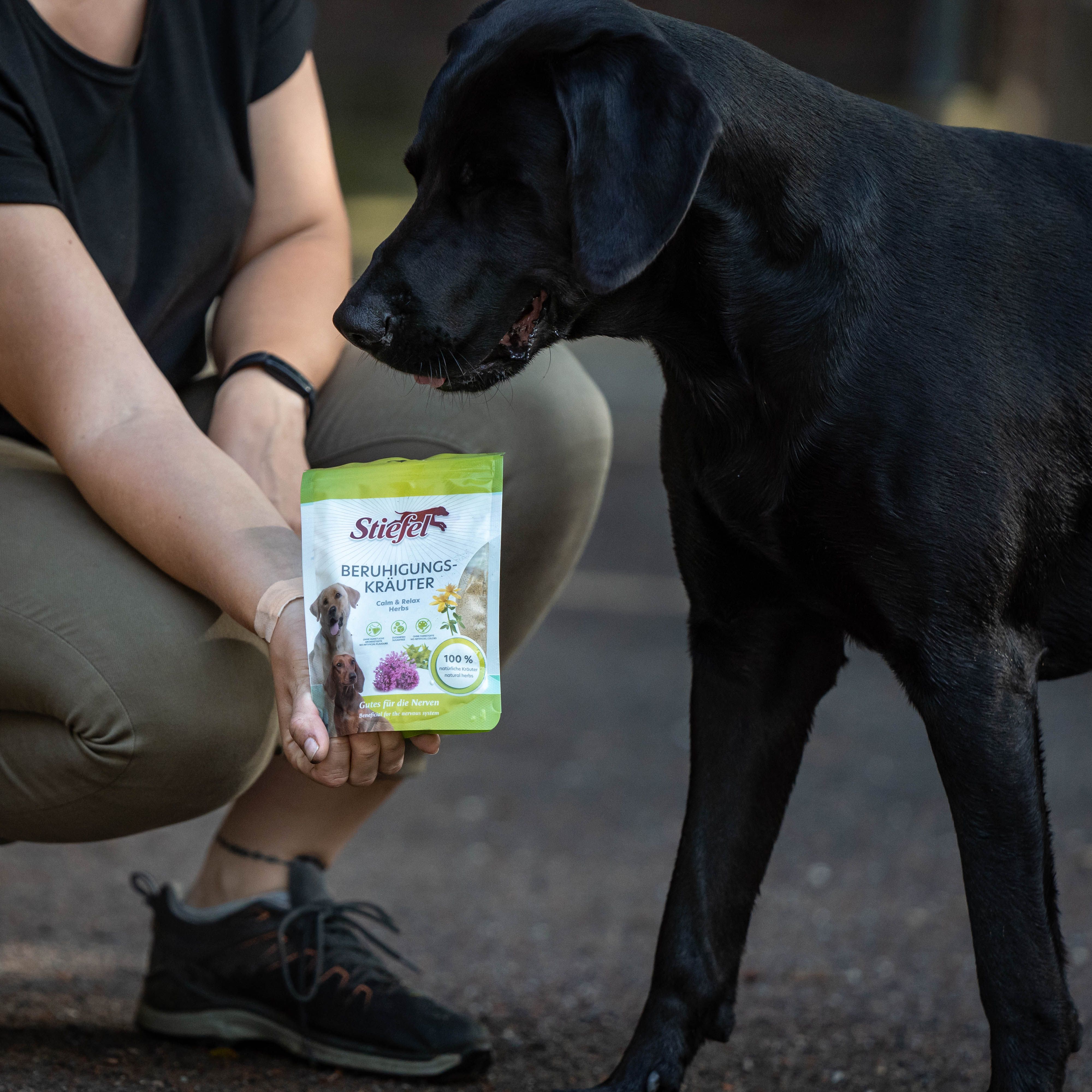 Person hält eine Tüte Stiefel Beruhigungskräuter. Schwarzer Hund schaut. Grüne Verpackung.
