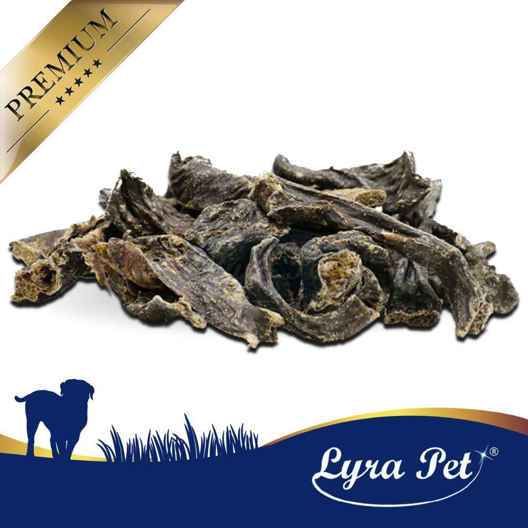 Haufen getrockneter Fleischstücke. Logo 'Lyra Pet' unten rechts. Goldener 'Premium'-Schriftzug oben links.