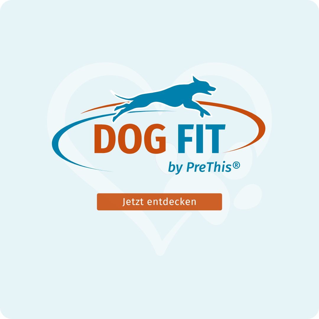 Logo DOG FIT by PreThis®. Text: Jetzt entdecken. Logo in Herzform.