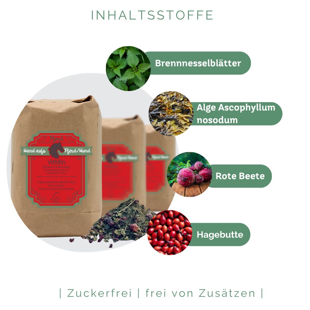 Drei braune Papiertüten mit rotem Etikett. Daneben Kräutermischung. Abbildungen von Brennnesselblätter, Algen, Rote Beete, Hagebutte. Text: Zuckerfrei.