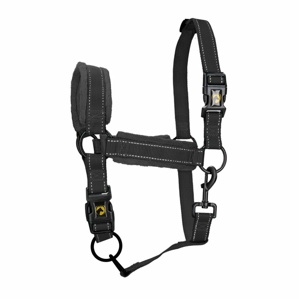 Eccellente Cavallo Superiore Cavezza xl Nera Completa