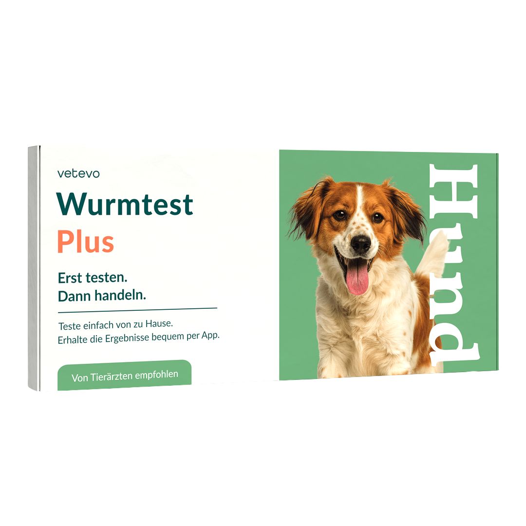 Produktverpackung und Bild eines Hundes. Text: Wurmtest Plus. Erst testen, dann handeln. Von Tierärzten empfohlen.