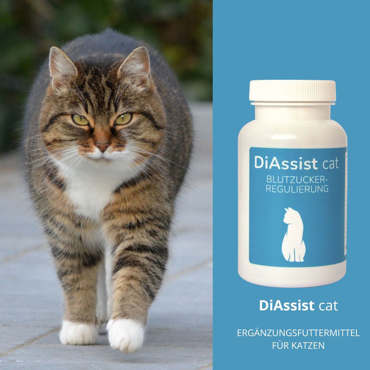 reboVet ReboTabs DiAssist cat