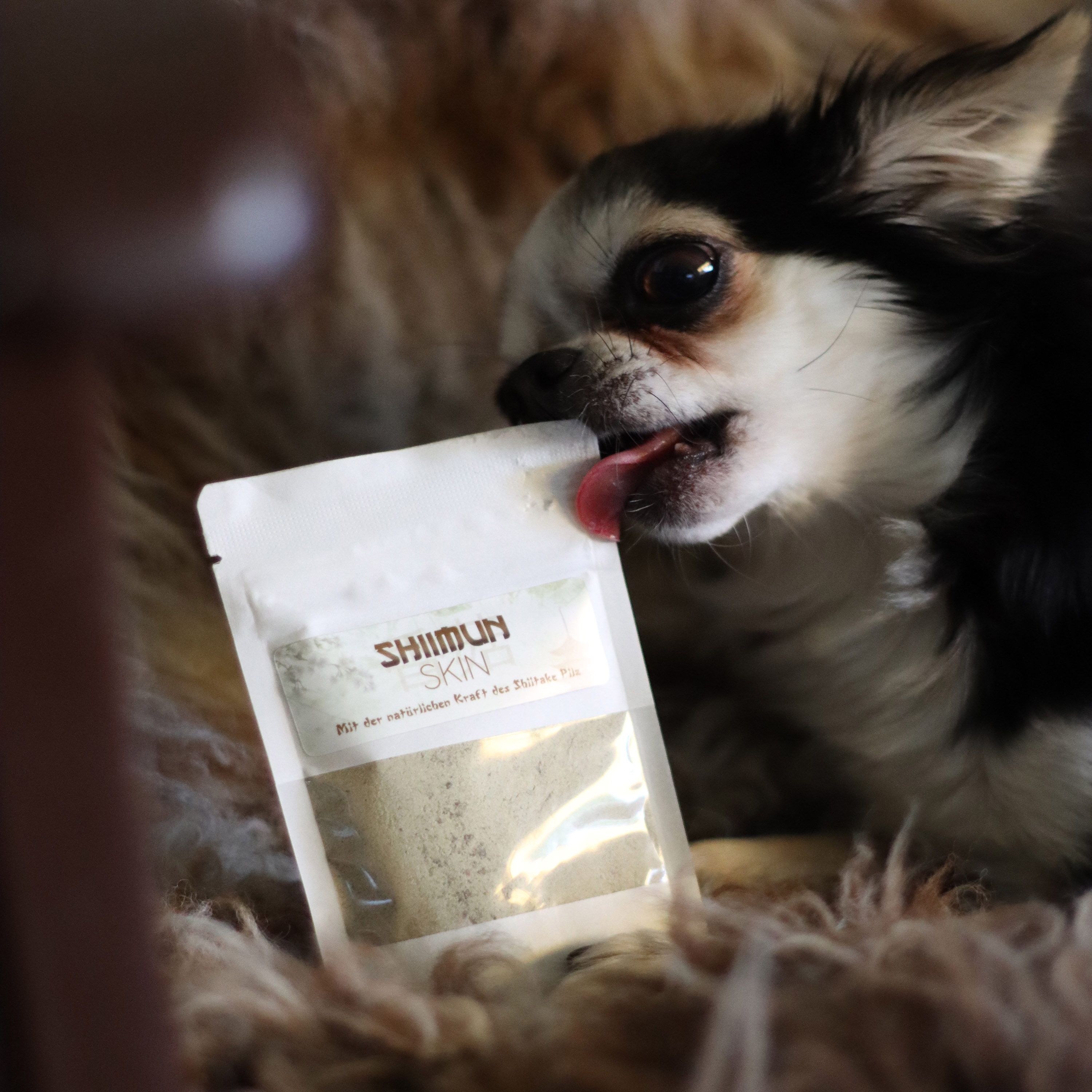 Marsapet Nahrungsergänzung für Hunde und Katzen mit Shiitake - Shiimun Skin Pulver
