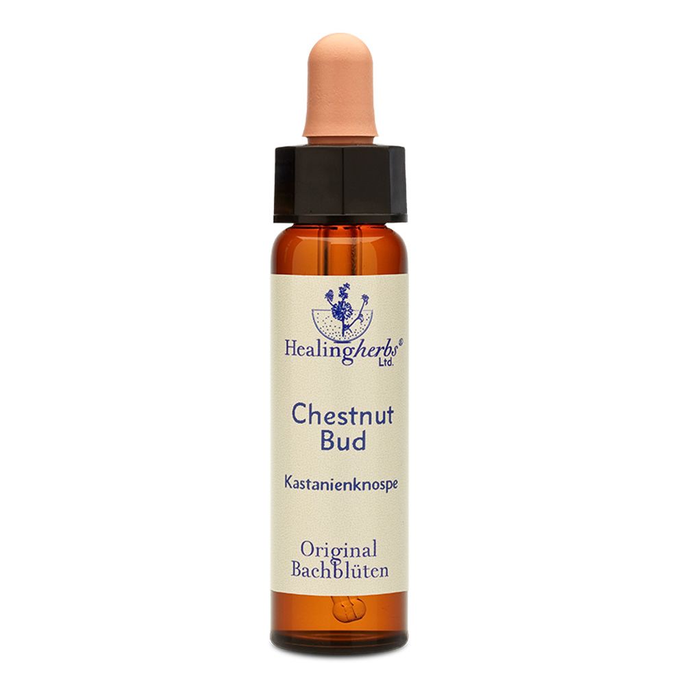 Healing Herbs Chestnut Bud Original Bachblüten Tropfen