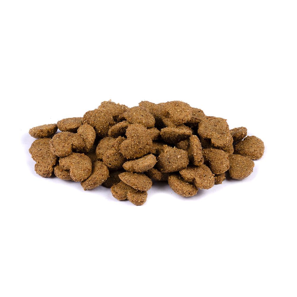 Brit Care Cat - Superfruits - Lamb