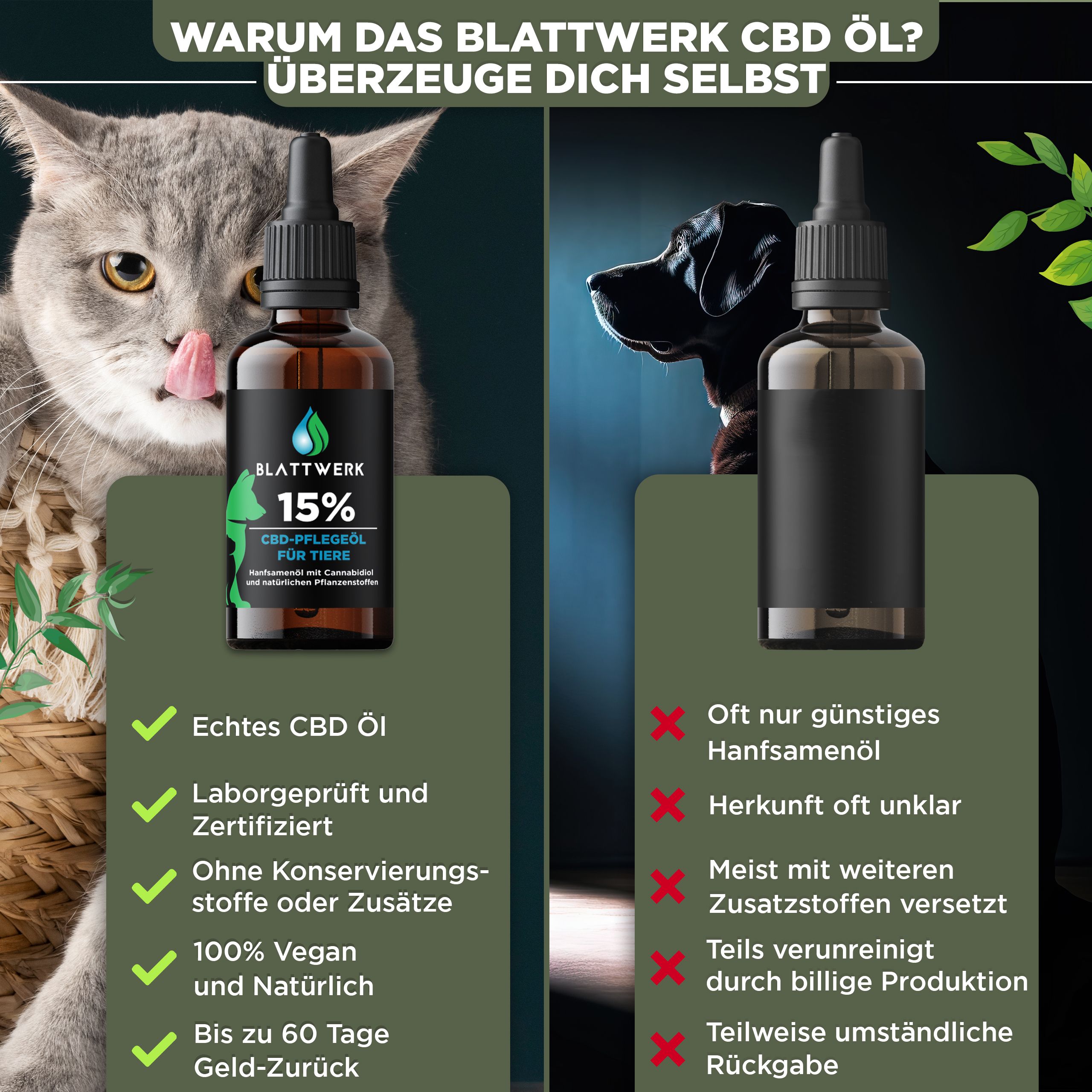 15% CBD Öl für Hunde & Katzen - Deutsche Qualität - CBD Öl Hund - 10ml - 250 CBD Tropfen - BLATTWERK