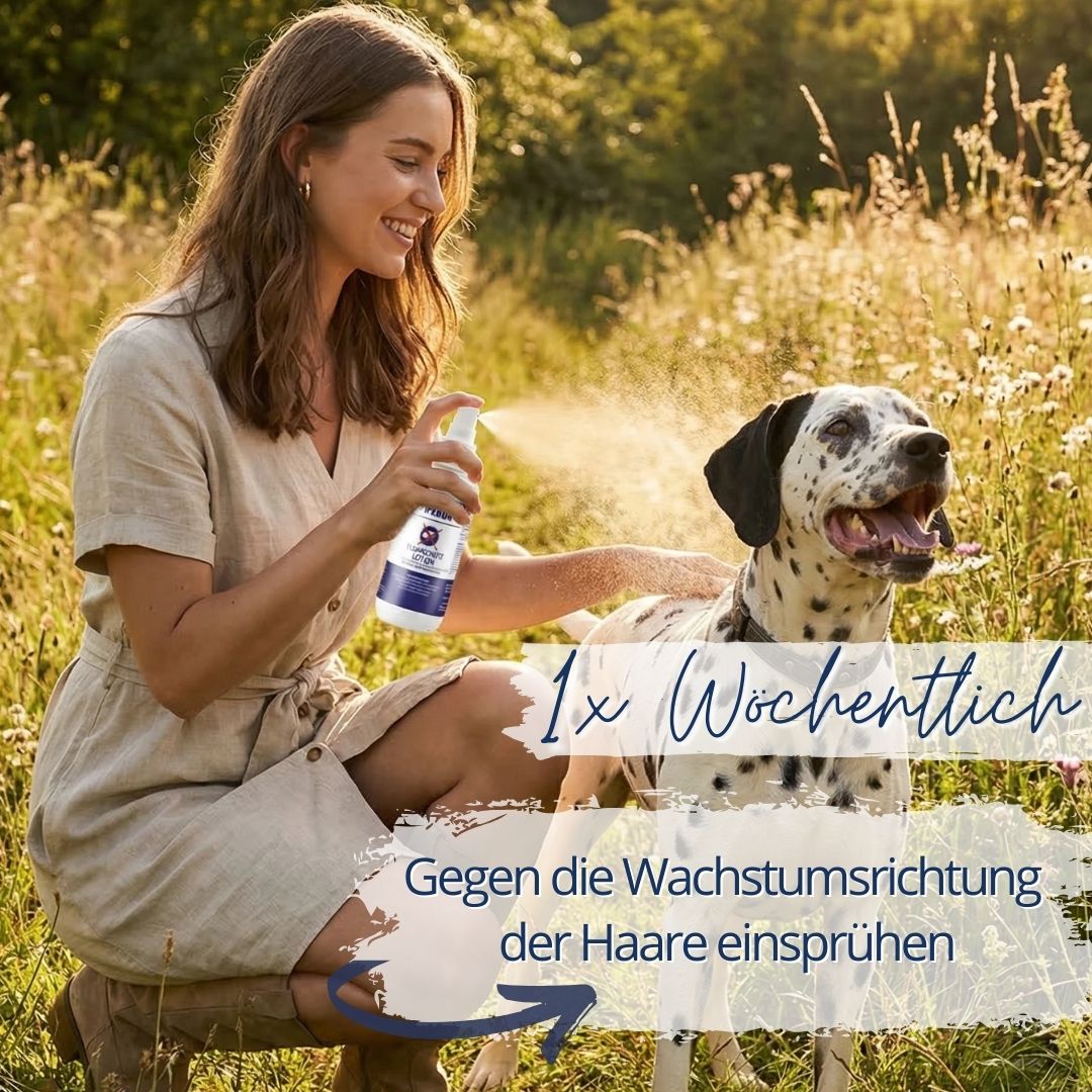 Frau sprüht IPERON® Flohschutz Lotion auf einen Hund im Freien.