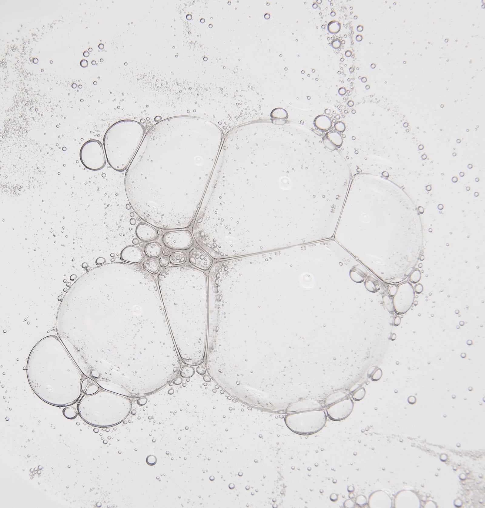 Rosental Organics Hand & Body Wash