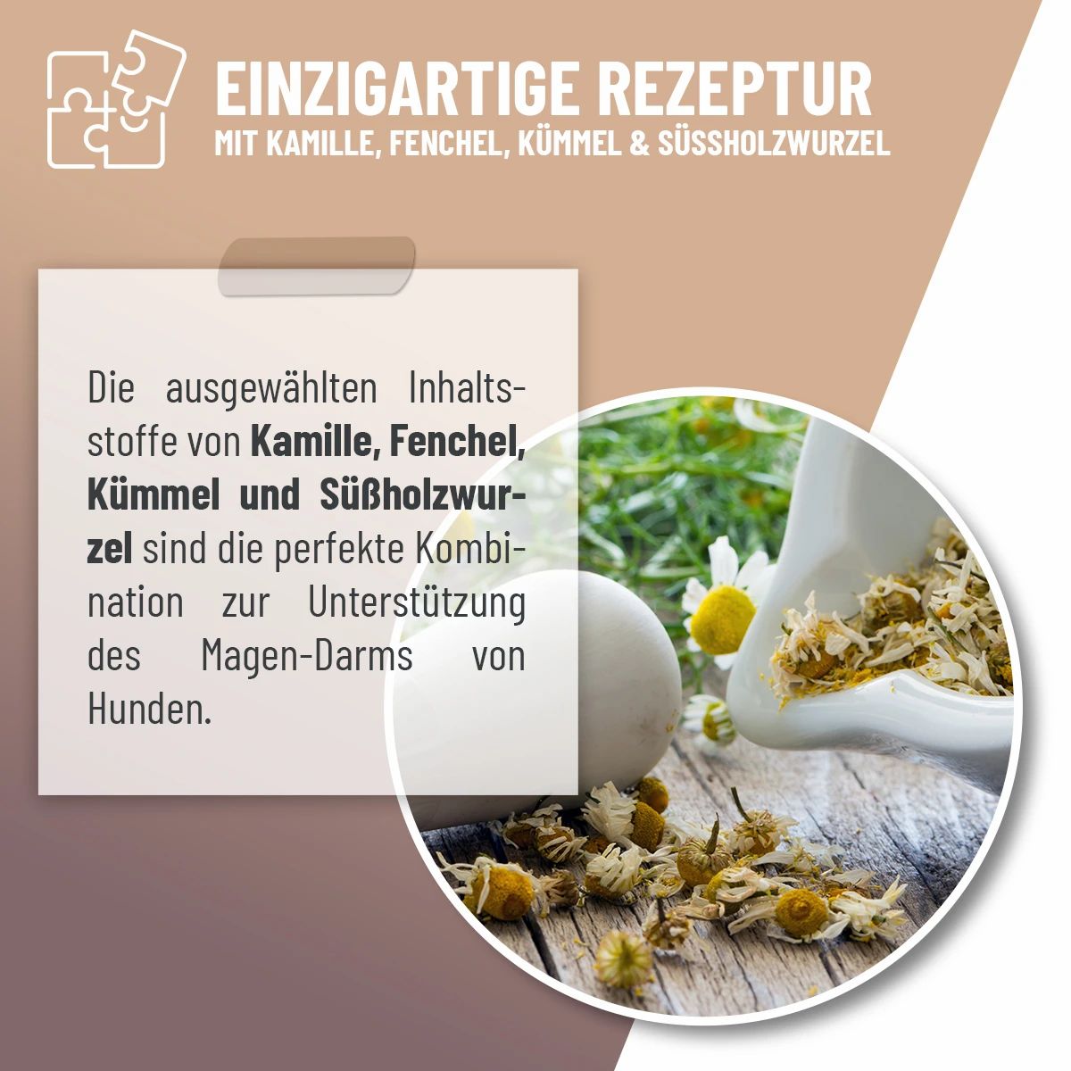 Magen & Darm Tropfen - ReaVET