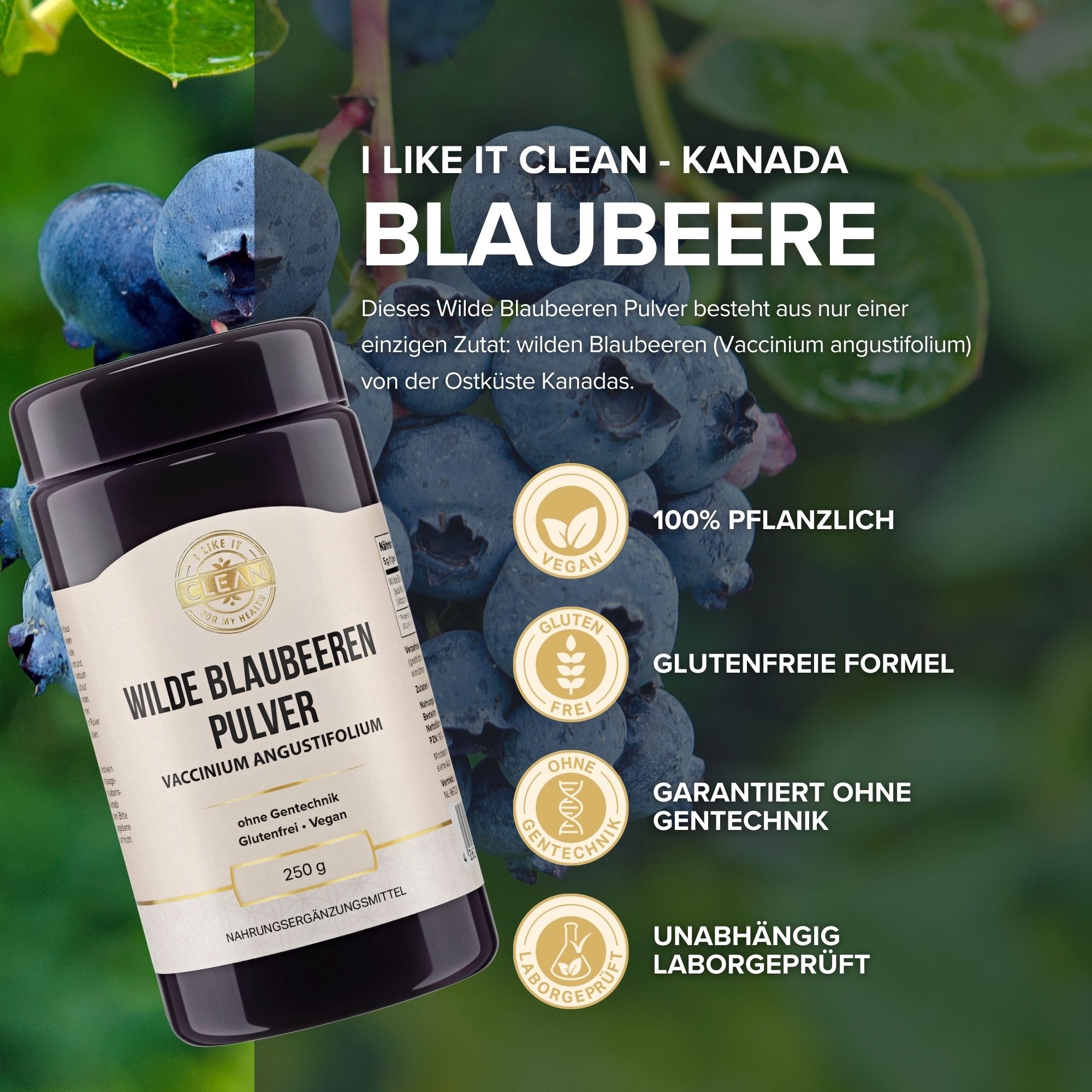 i-like-it-clean Wilde Blaubeere Pulver aus Kanada