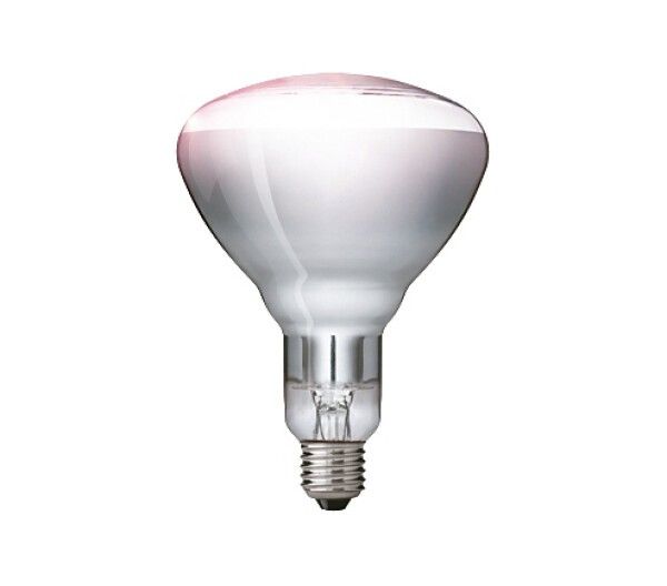 Philips Infrarot-Lp. 230-250V 1Ct/10 (Ir150Ch R125 E27) 1 St