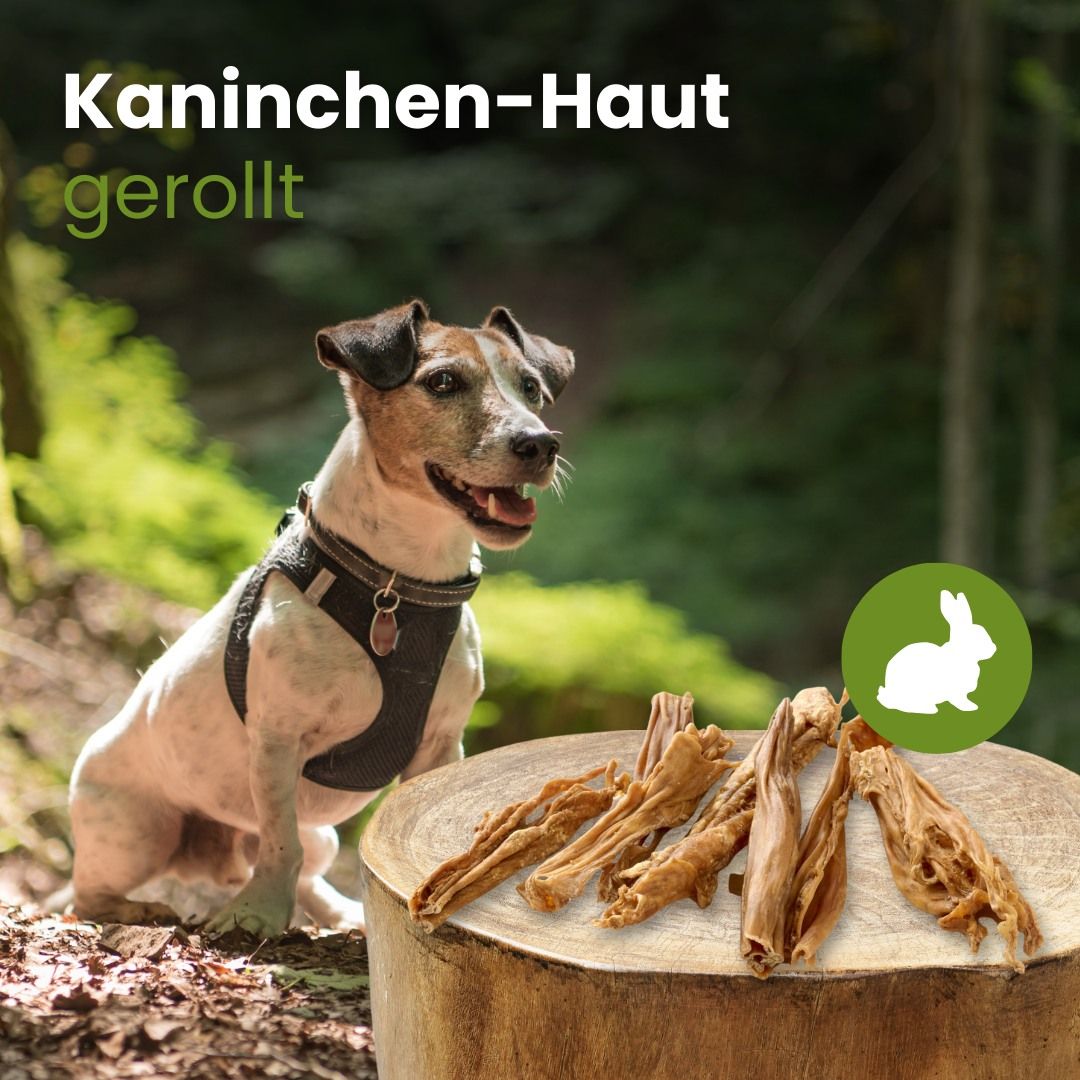 Getrocknete, gerollte Kaninchenhaut für Hunde, isoliert auf weißem Hintergrund.
