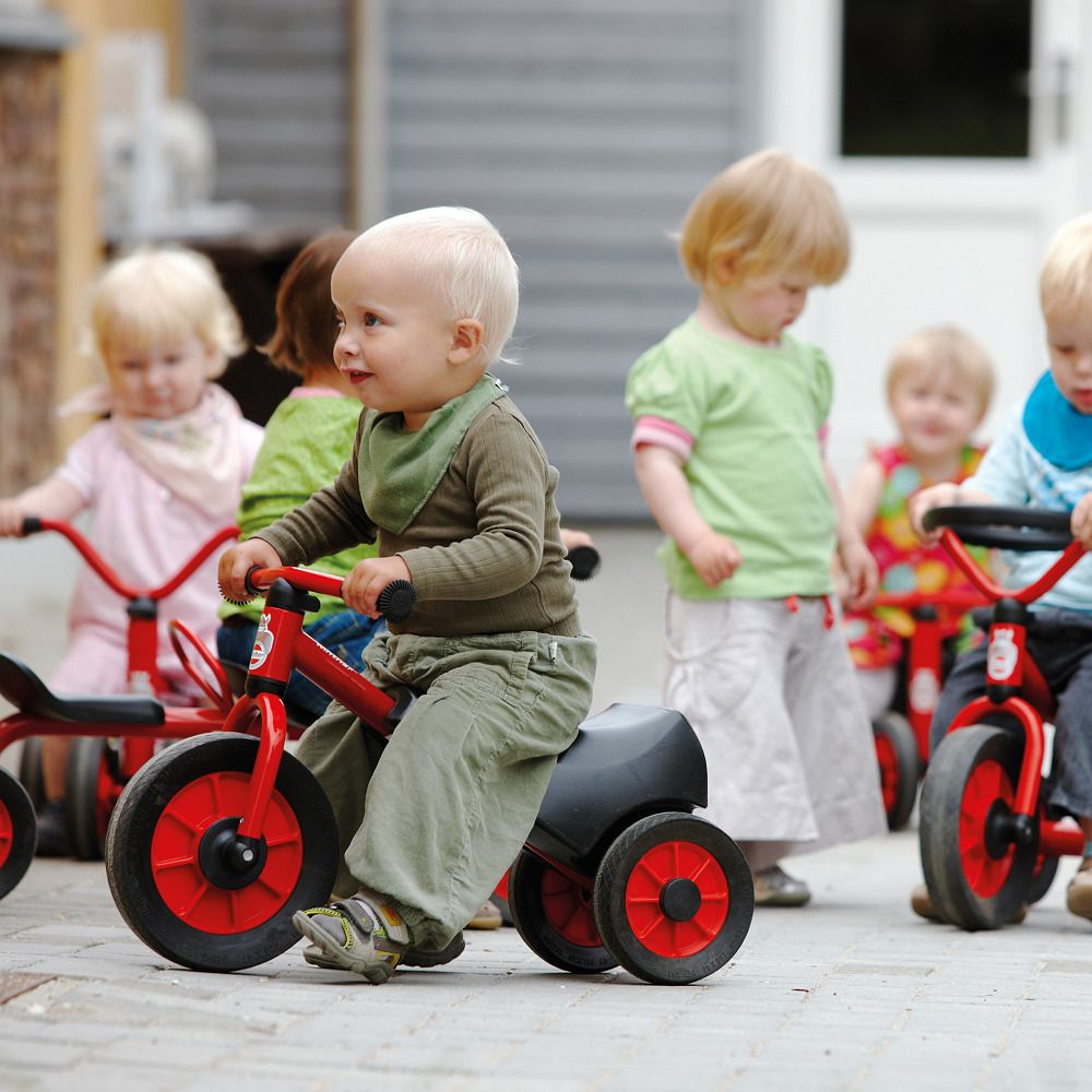 Winther Mini Viking Scooter Safety