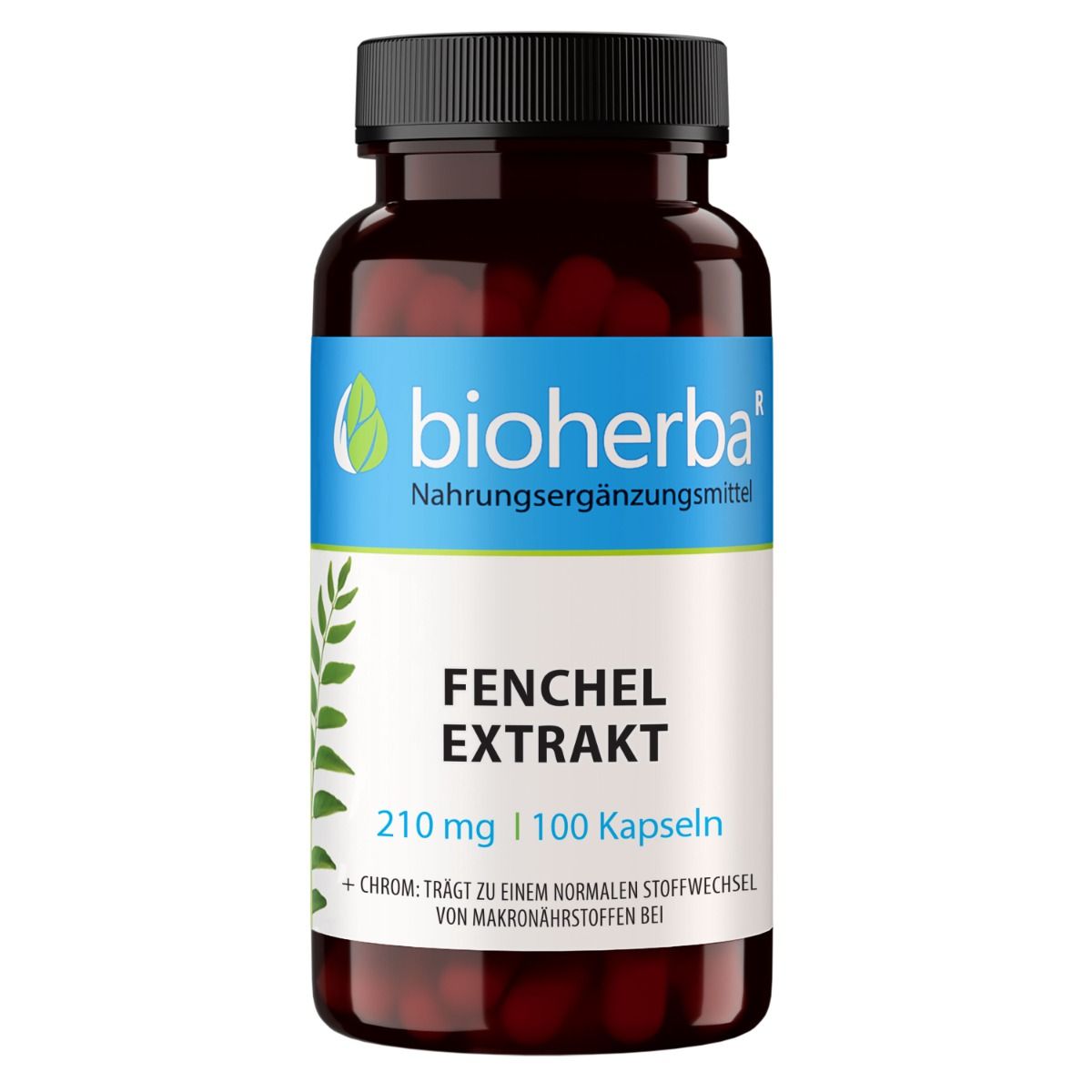 Braune Flasche mit schwarzen Deckel. Enthält Kapseln. Aufschrift: Bioherba, Fenchel Extrakt, 210 mg, 100 Kapseln.