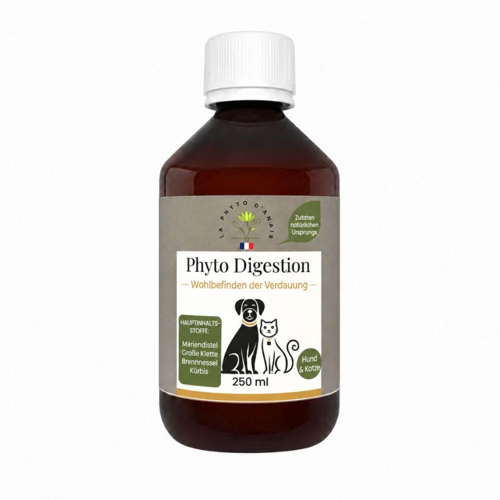 Phyto Senior Flüssigkeit in brauner Glasflasche, 250ml. Für Hunde und Katzen zur Vitalität und Gelenkbeweglichkeit. Zutaten: Ginkgo, Ginseng, Johannisbeere.