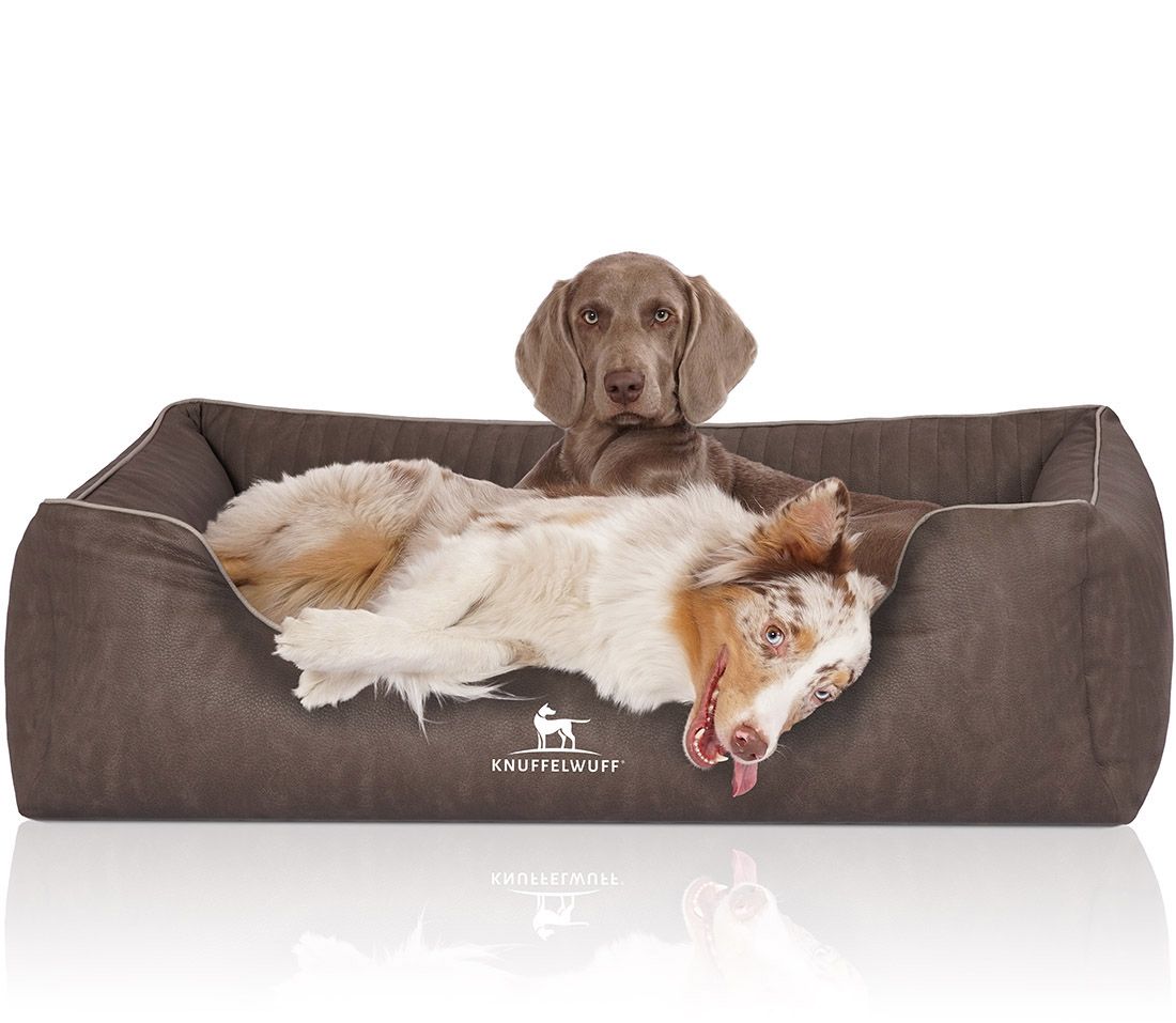 Braunes Hundebett mit zwei Hunden. Ein Hund liegt, der andere sitzt. Knuffelwuff Logo.