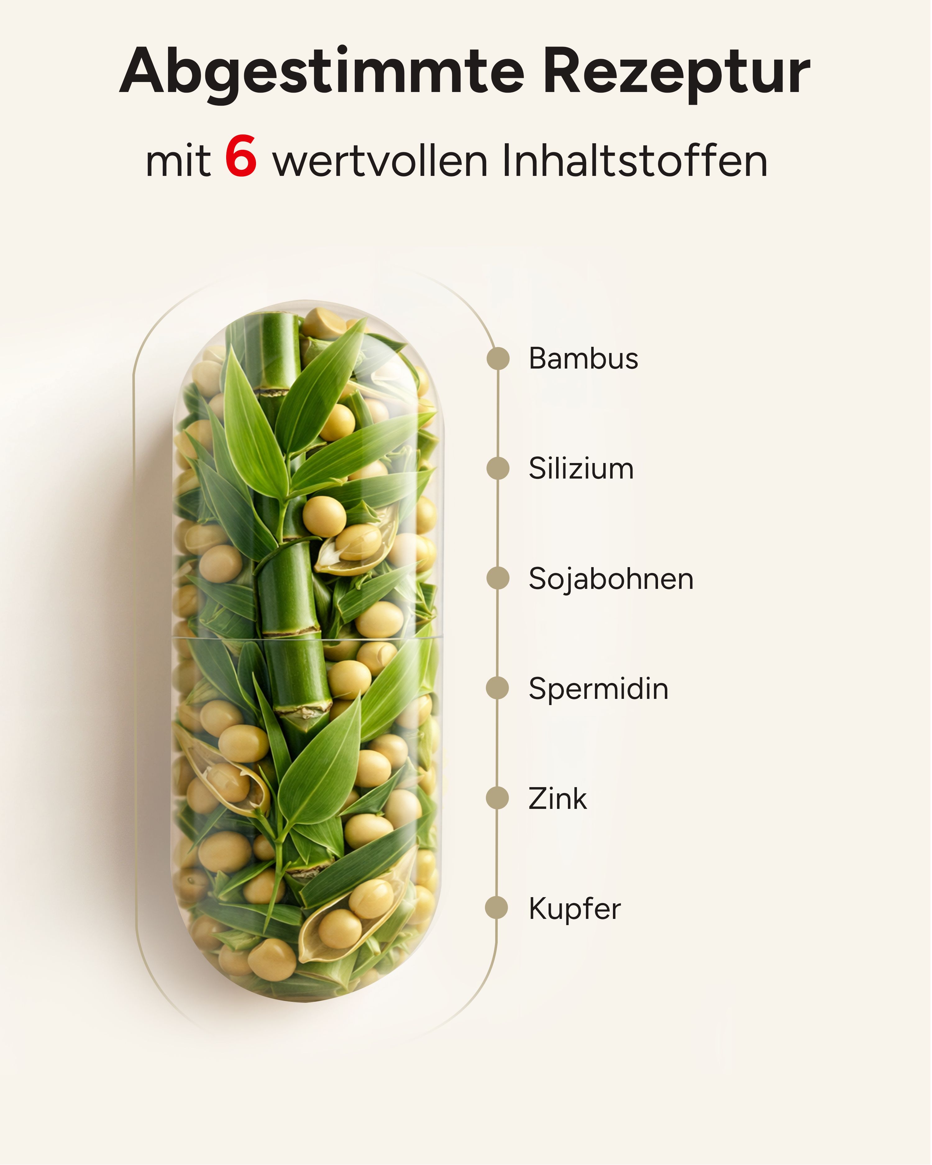 plantomol® 6mg Spermidin Kapseln mit Silizium - für die Haut Haare Nägel - Glanzmoment