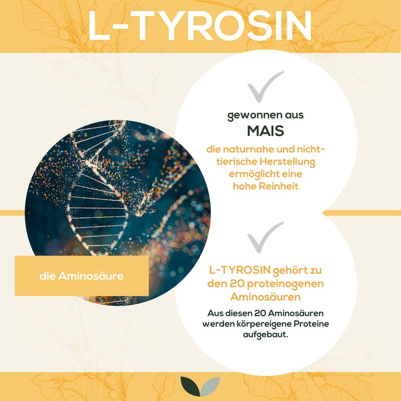 Infografik: L-Tyrosin, Aminosäure. Gewonnen aus Mais. L-Tyrosin gehört zu 20 proteinogenen Aminosäuren. Aufbau körpereigener Proteine.