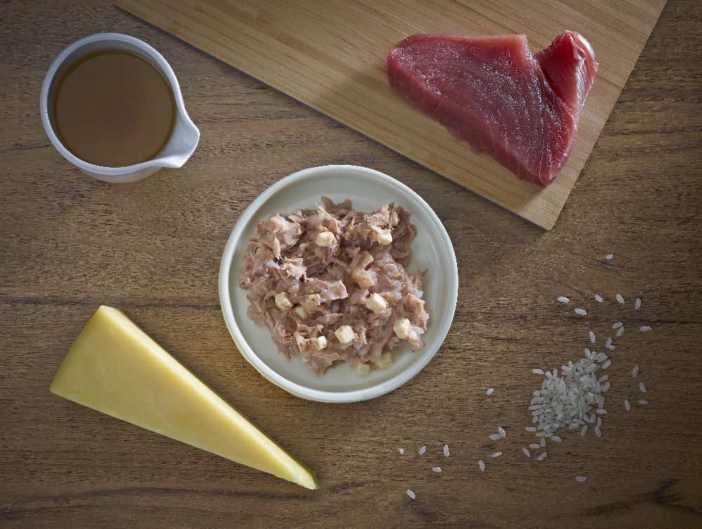 Zusammensetzung von Thunfischfilet mit Käse. Thunfisch, Käse, Reis und Soße auf Holzbrett und Teller.