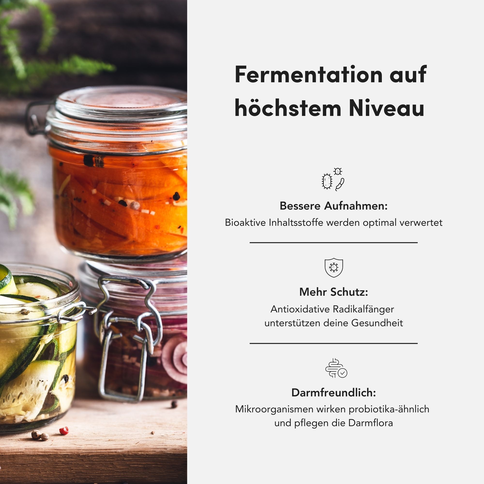 Gläser mit fermentierten Lebensmitteln. Text: Fermentation auf höchstem Niveau. Bessere Aufnahme, mehr Schutz.