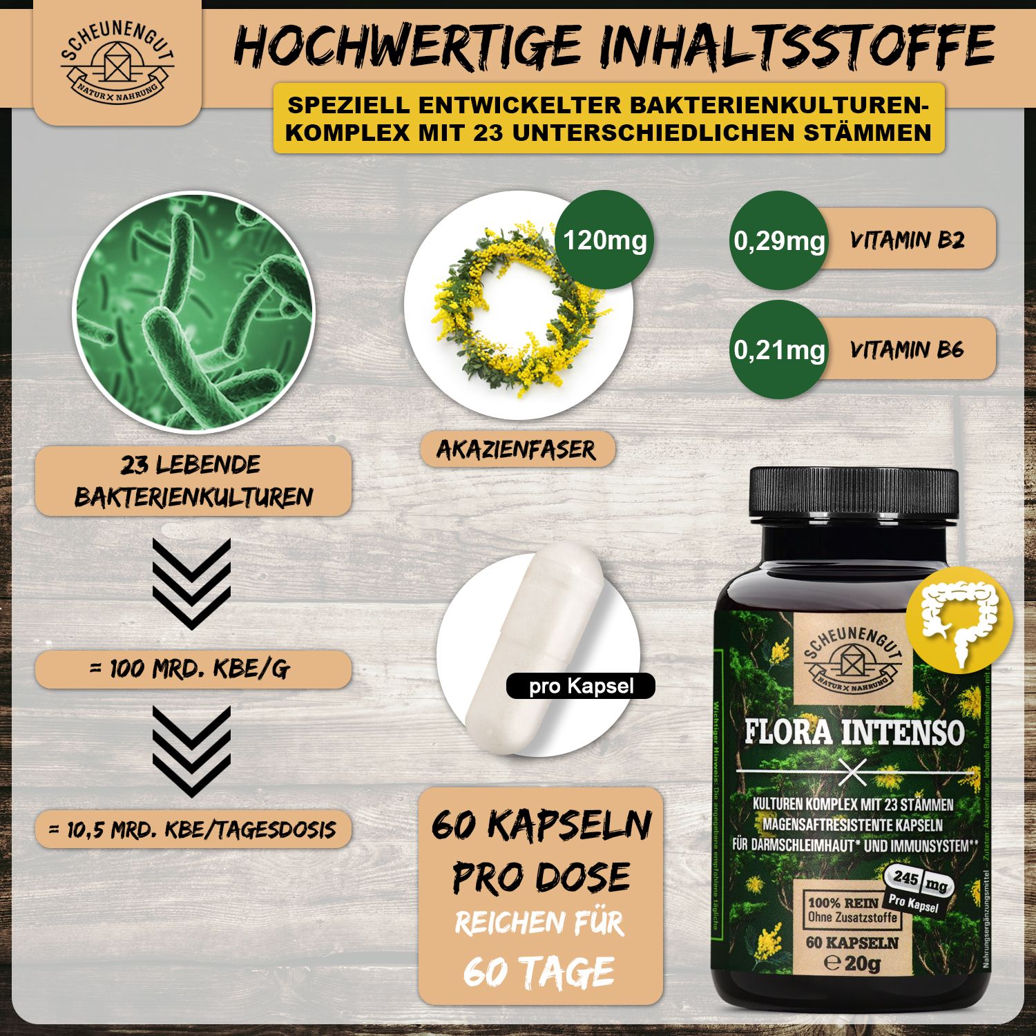 Scheunengut® Flora Intenso |Probiotika Komplex, Darmkur 60 St Kapseln