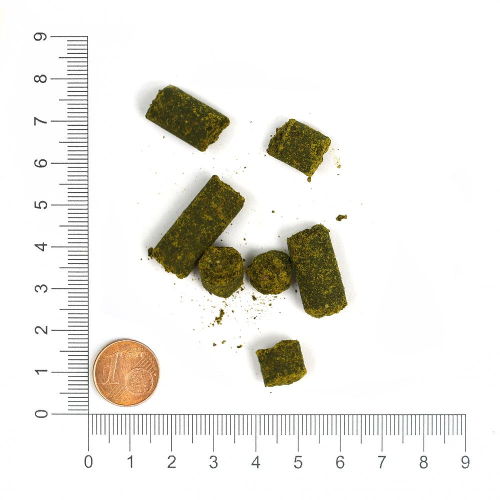 Grüne Pellets mit einem Zentimetermaß und einer Münze zur Größenangabe.