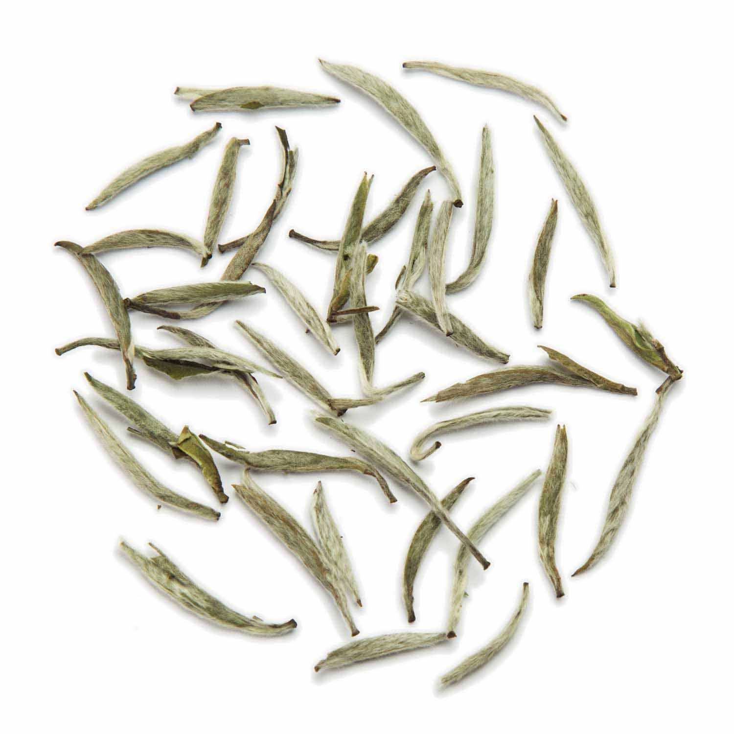 tea exclusive - Silver Needle Weißer Tee China bio