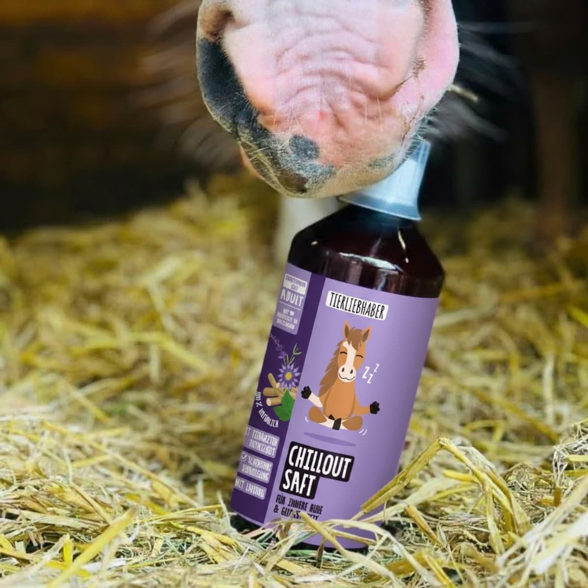 Braune Flasche mit Etikett und Logo, gehalten vor einem Pferd. Pferd im Vordergrund.