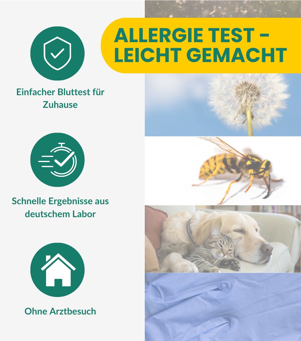 MetaLytic - Allergie Test Umwelt & Tiere (26 Allergene) - Vollwertiger Labortest