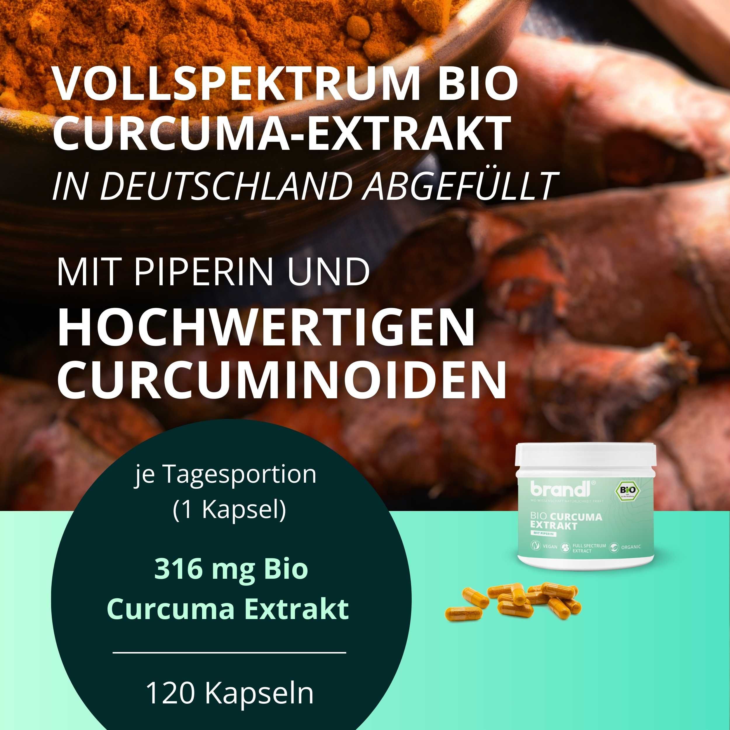 brandl® Bio Curcuma Extrakt mit Curcumin (Curcuminoide) & Piperin 240 St Kapseln