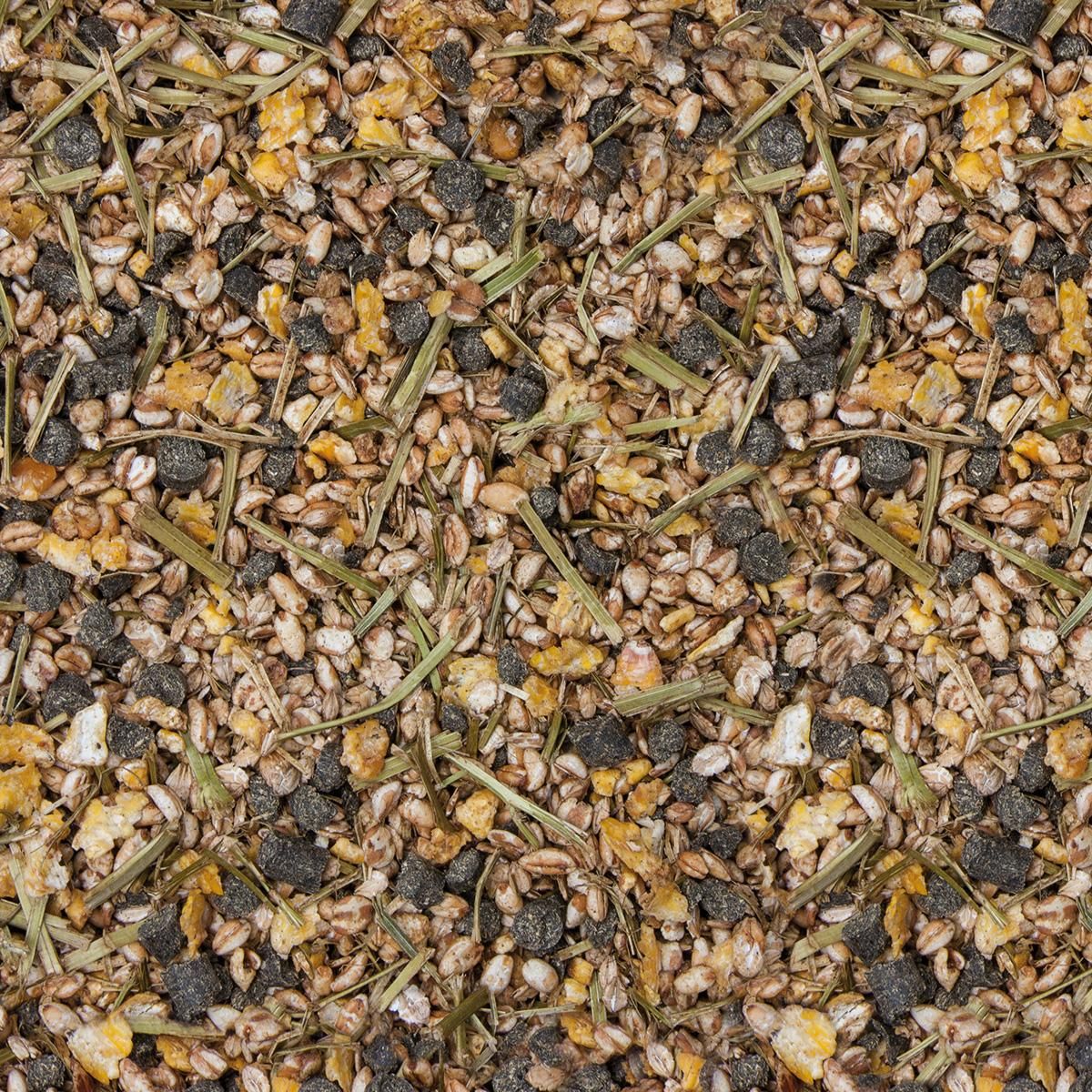 Nahaufnahme von Tierfutter mit verschiedenen Körnern, Kräutern und Pellets. Verschiedene Farben und Texturen.