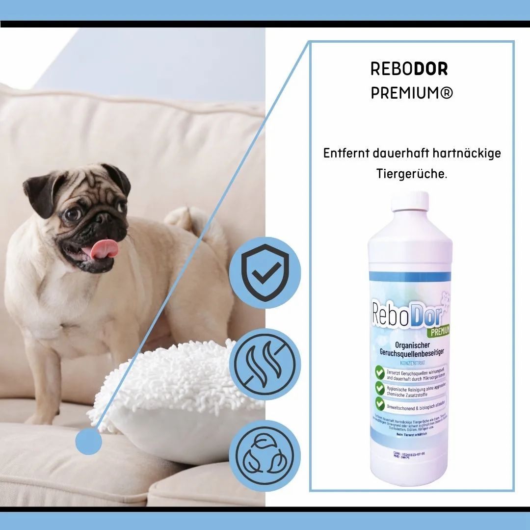 ReboDor Premium® mit Mops auf Sofa. Flasche mit Geruchsentferner-Konzentrat daneben.