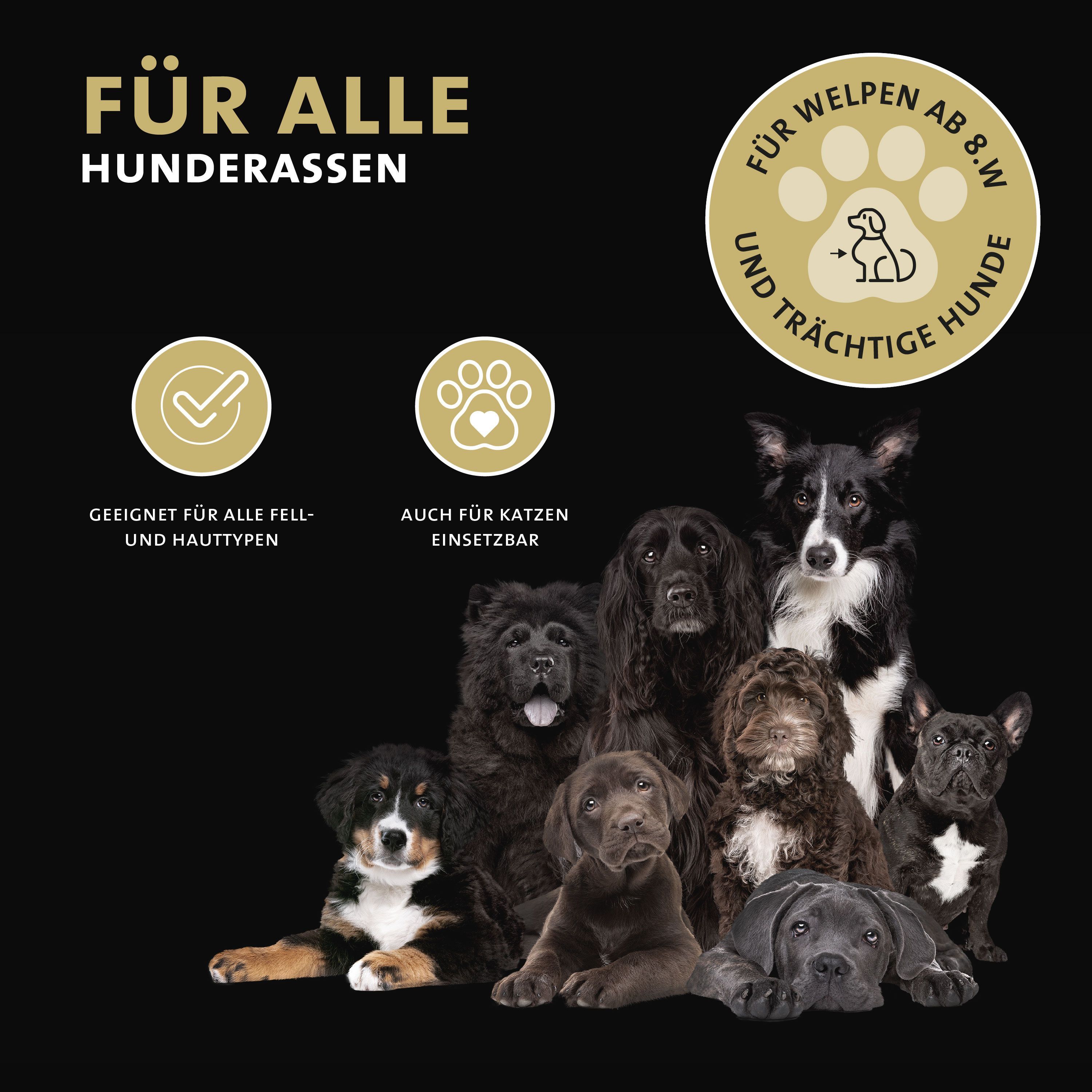 Peticare Zeckenspray für Hunde & Katzen, Sofort-Abwehr gegen Zecken & Parasiten mit Repellent-Effekt