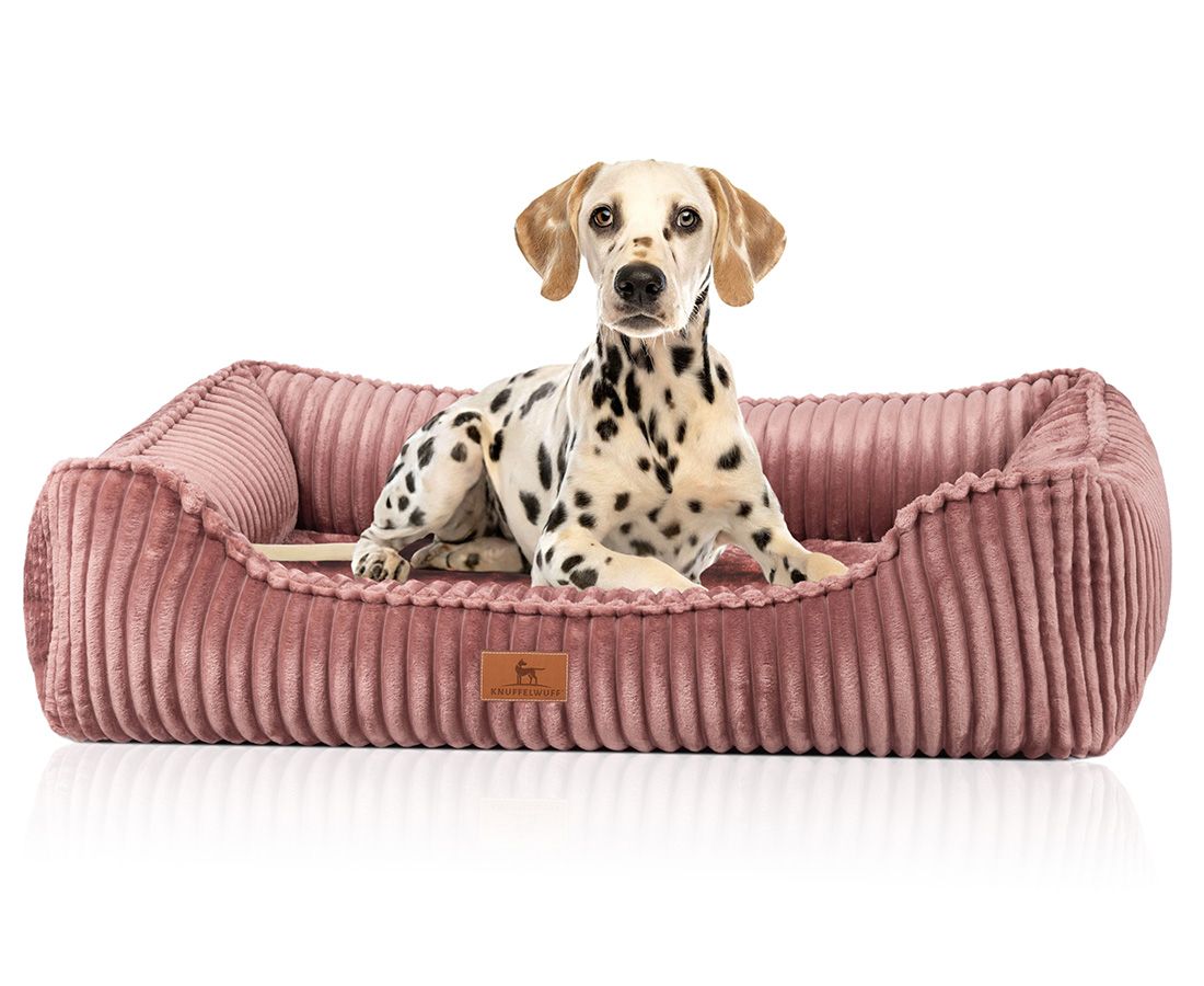 Hundebett Sedona, rosa, mit Dalmatiner. Cord-Optik, rechteckig mit erhöhten Seiten. Label mit Logo. Hund liegt im Bett.