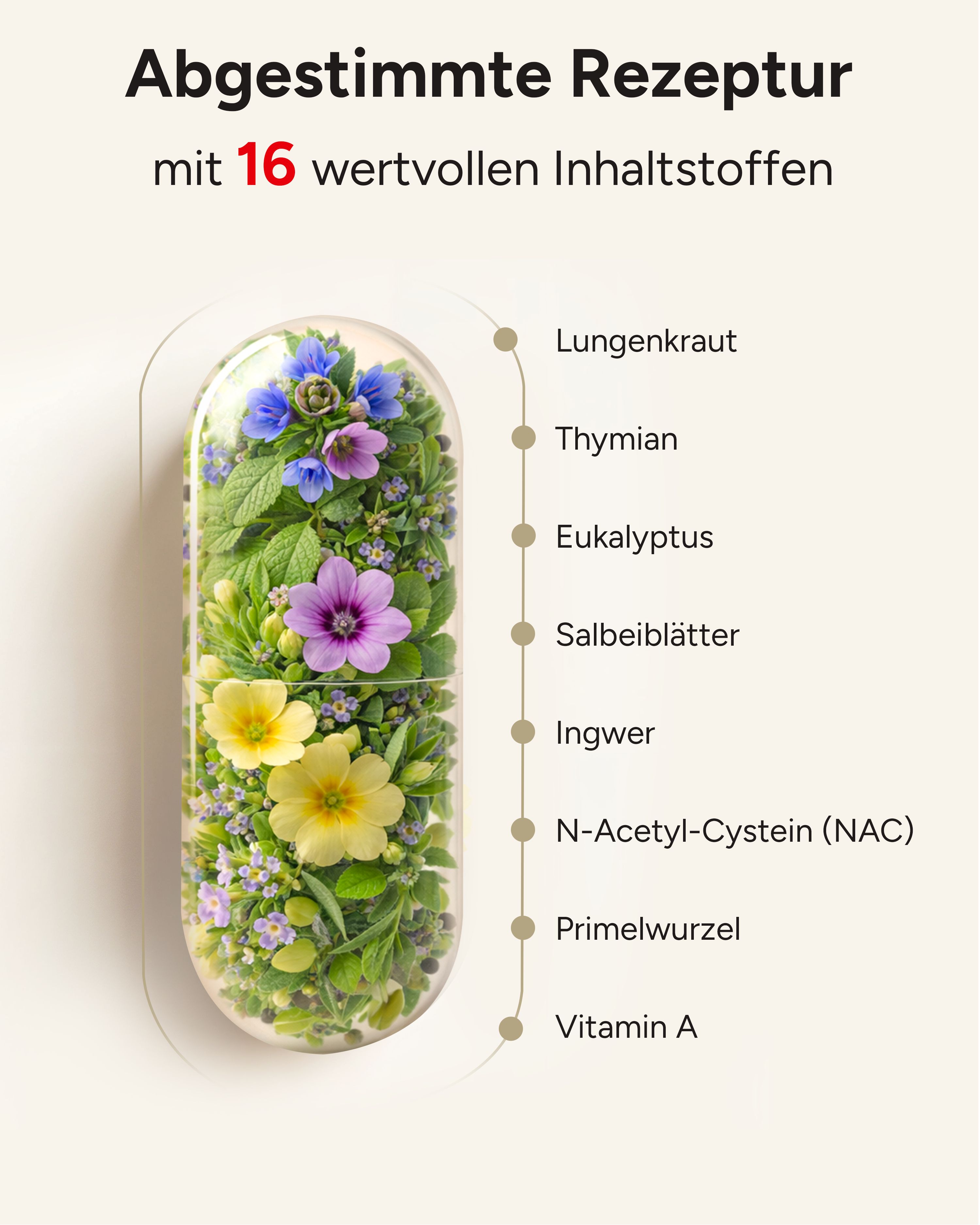 plantomol® Lungenkraut PLUS Kapseln - 16-fach Komplex mit Lungwort Malvenblättern Thymian & mehr